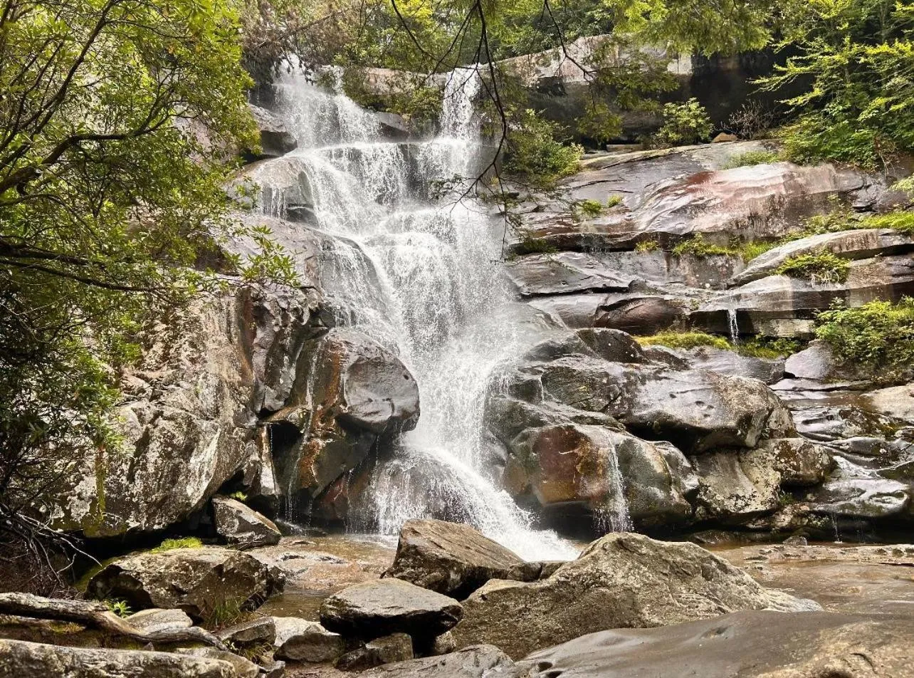 Hiking in Emerald Woods