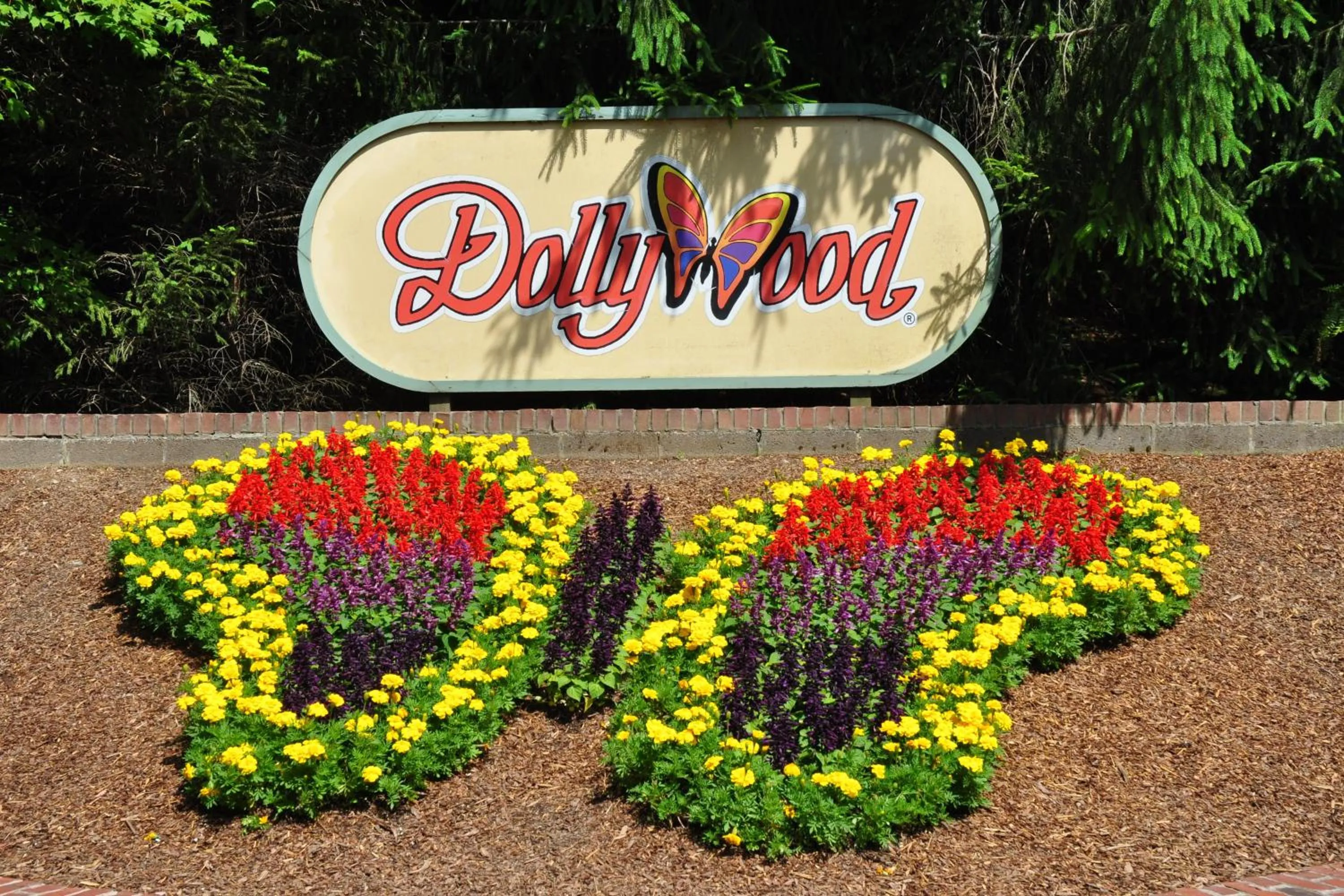 Entertainment in Emerald Woods