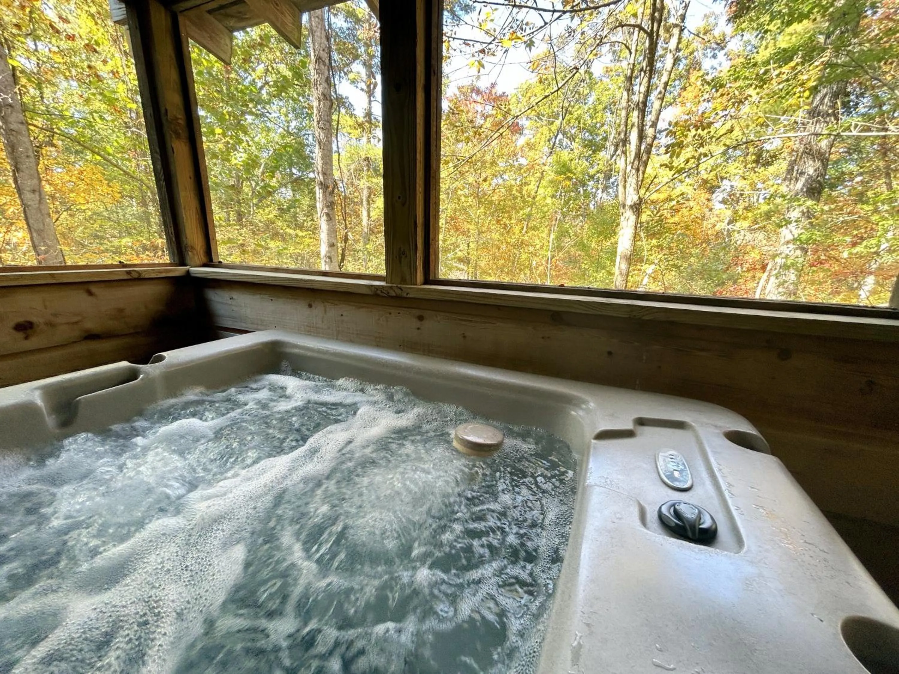 Natural landscape in Emerald Woods