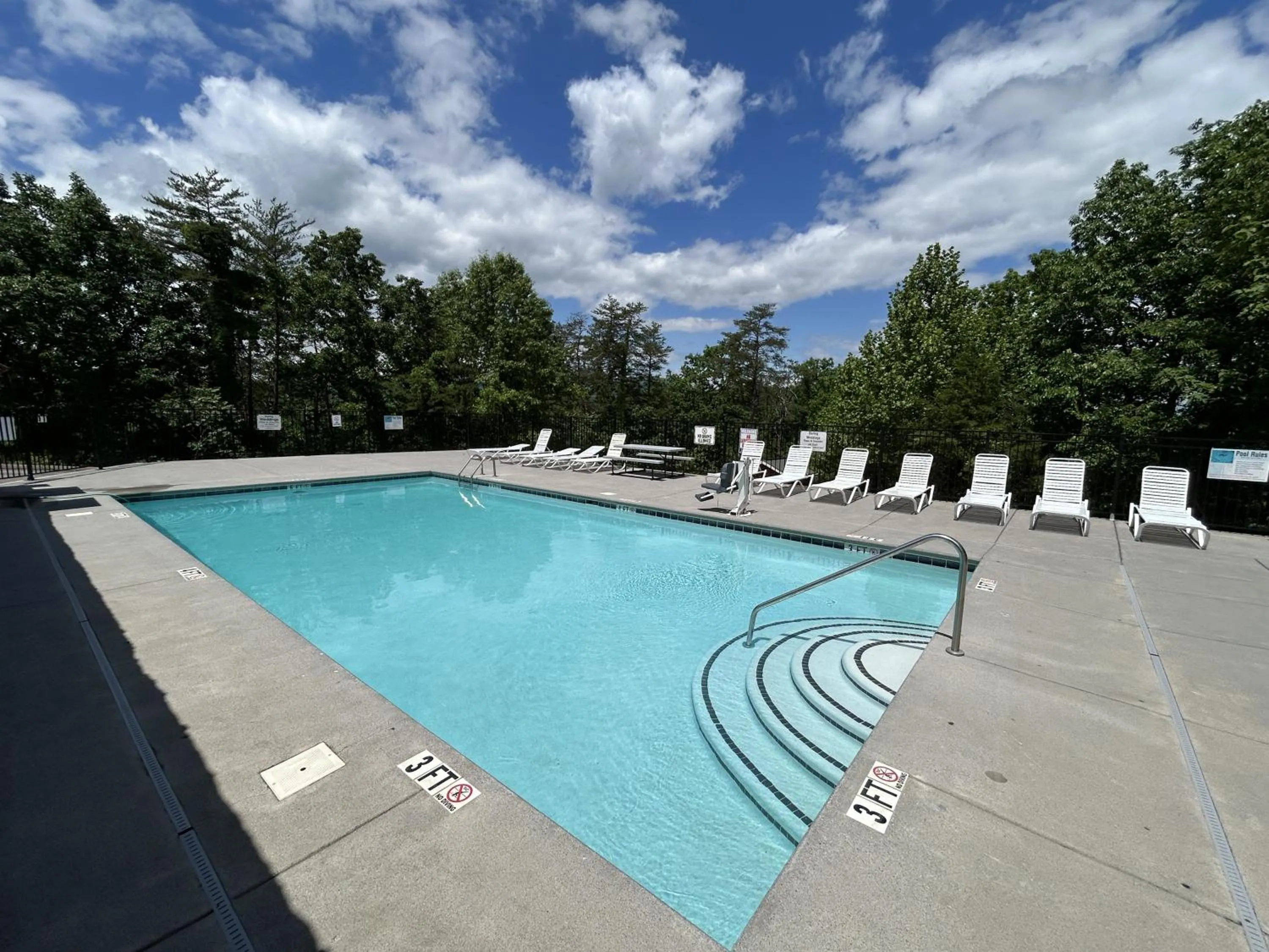 Day in Emerald Woods