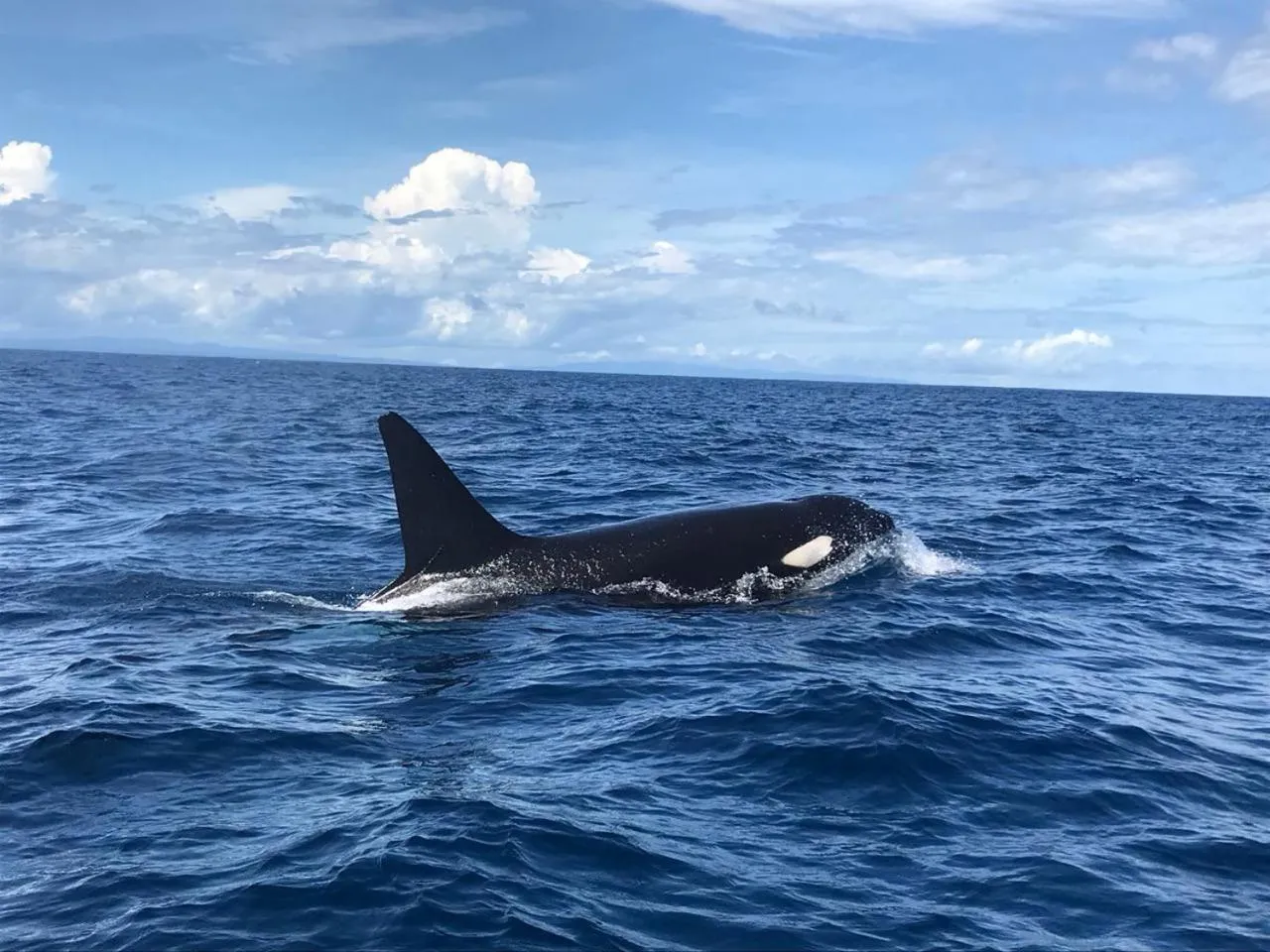 Activities in The Sunset Tucano Lodge