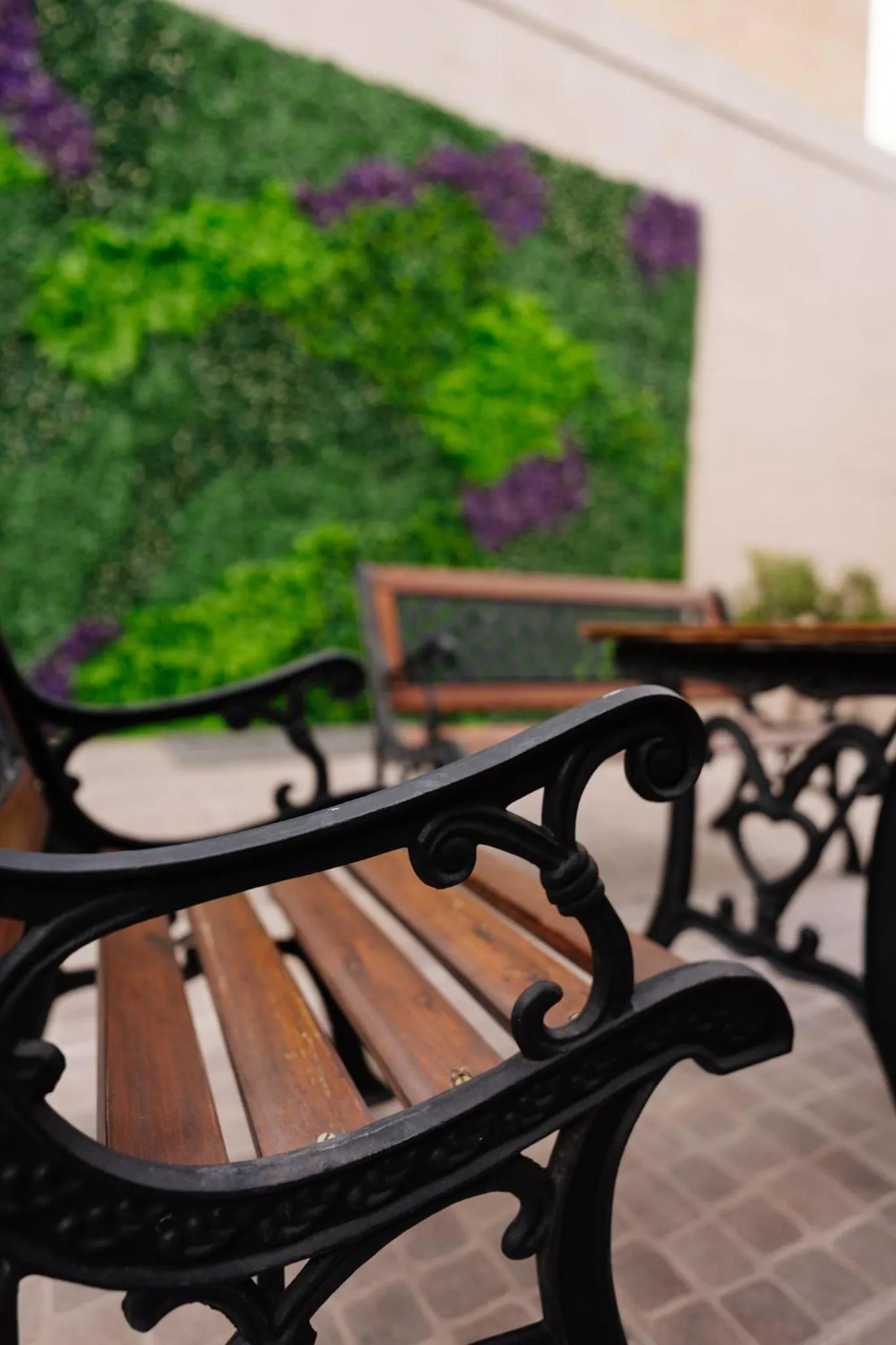 Patio in San Nicolas Plaza