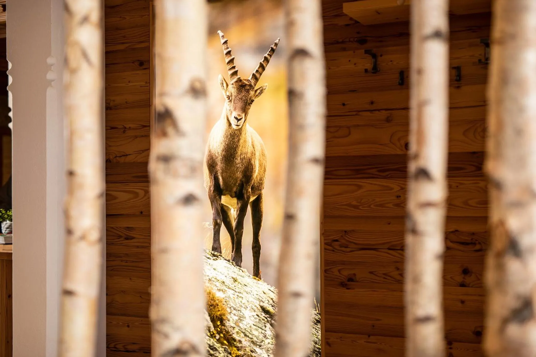 Decorative detail in Hotel Pramstraller