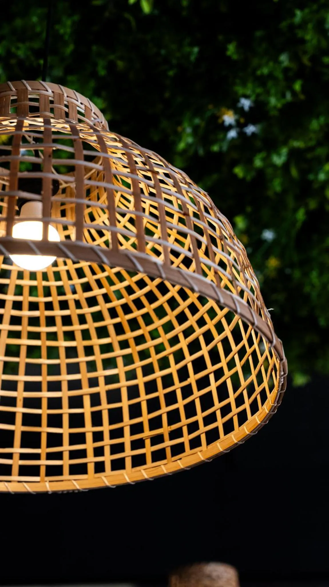 Restaurant/places to eat in Avenue Hotel