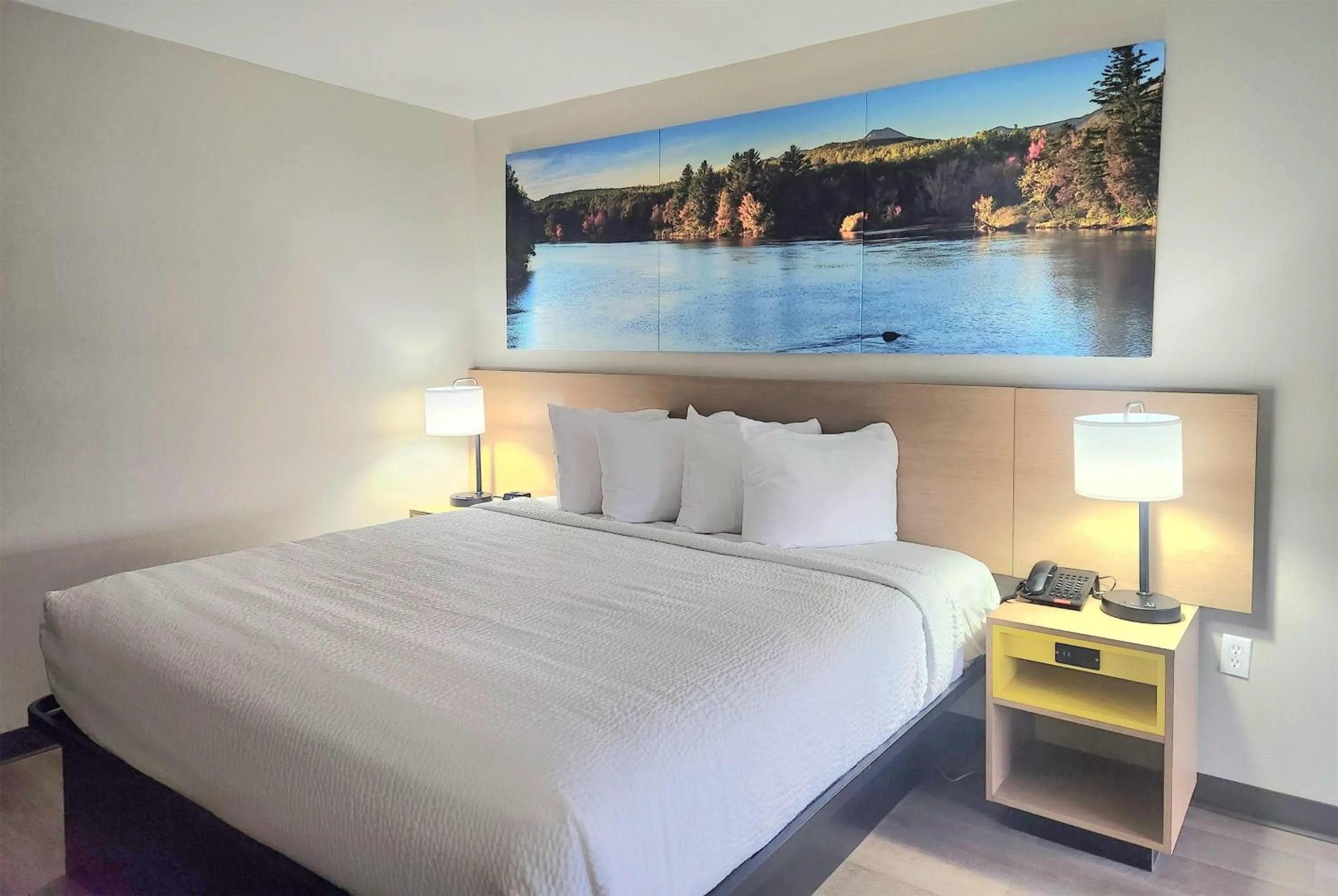 Photo of the whole room in EconomyLodge