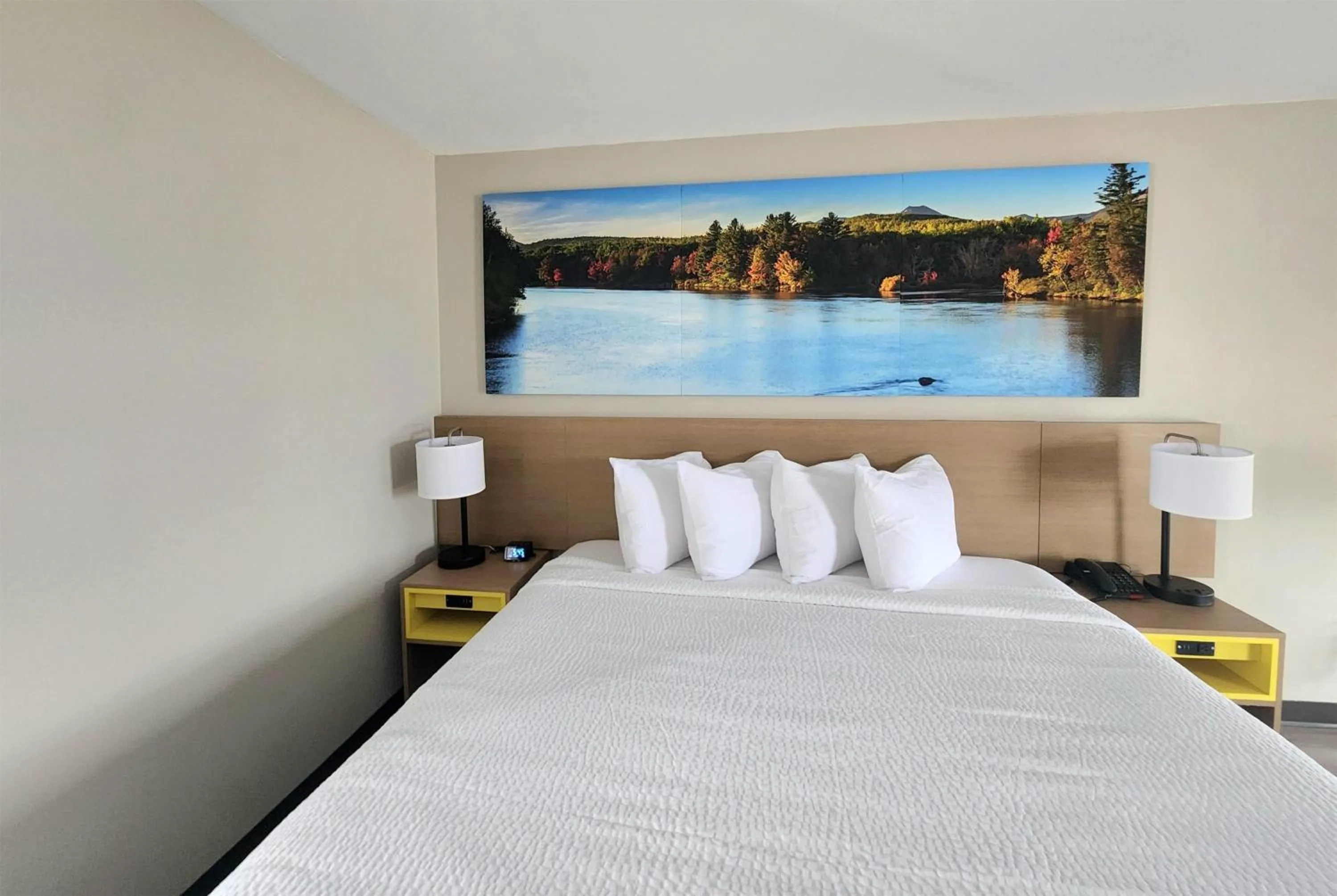 Photo of the whole room in EconomyLodge