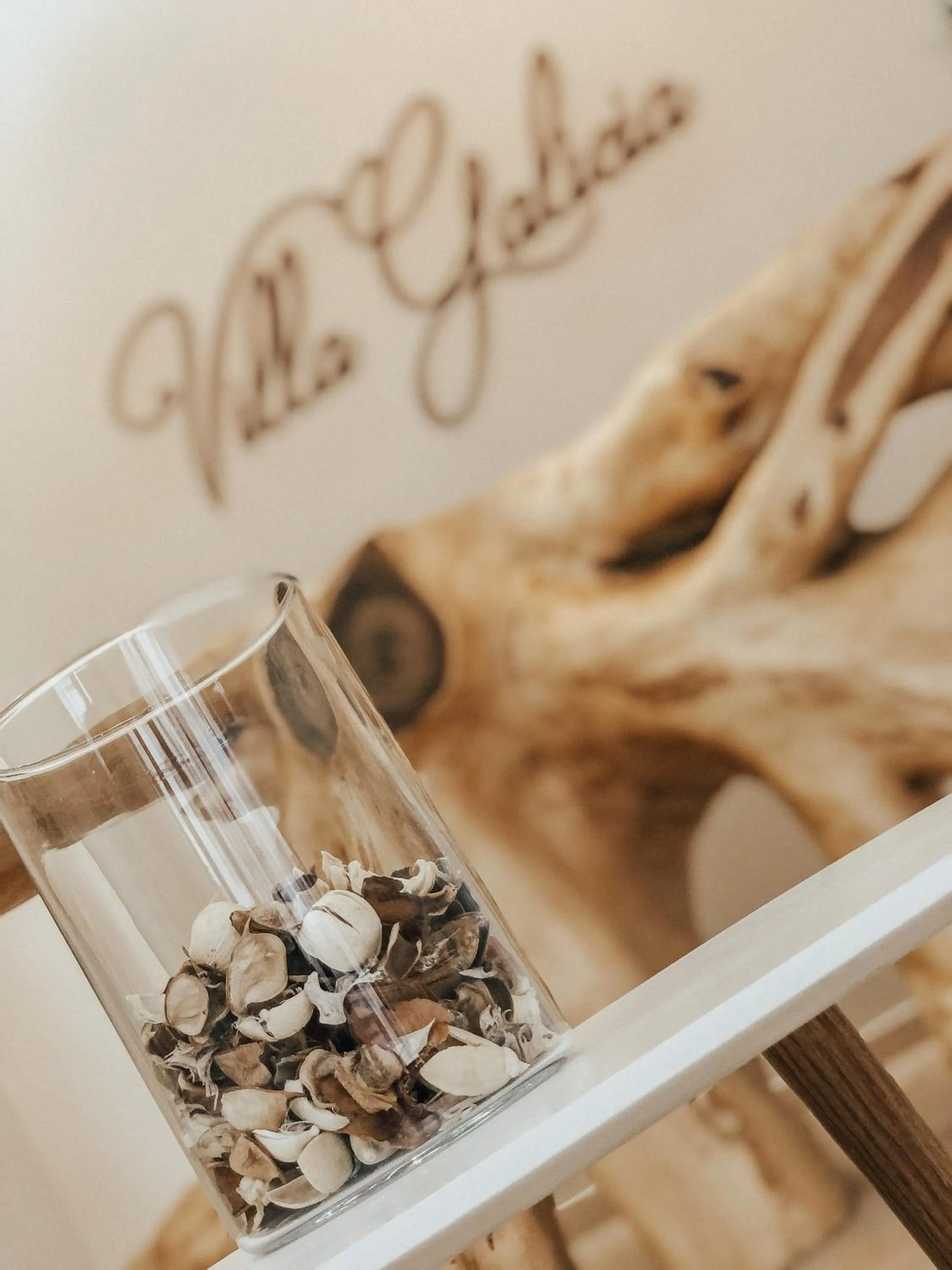 Lobby or reception in Villa Galicia