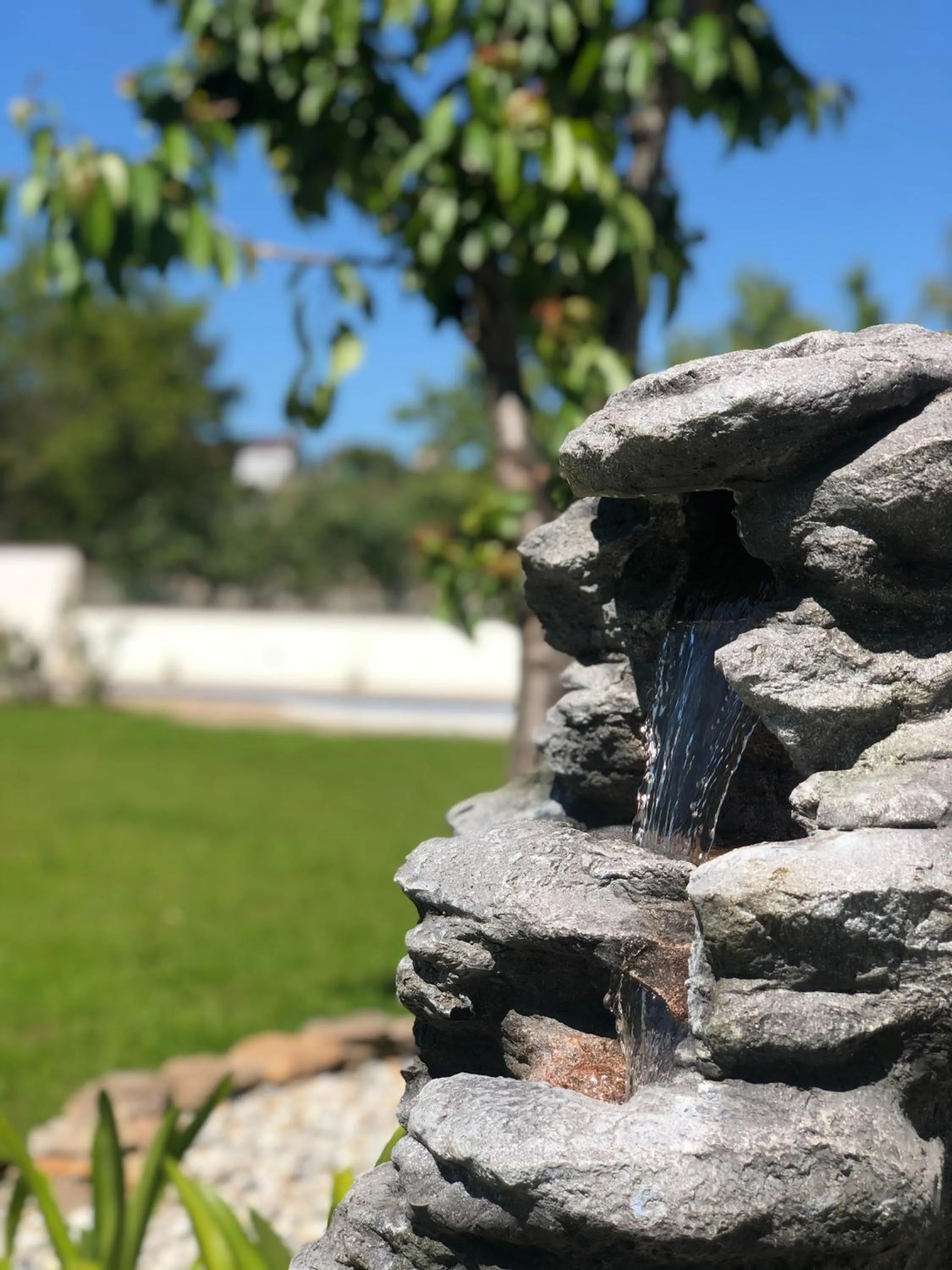 Garden in Villa Galicia