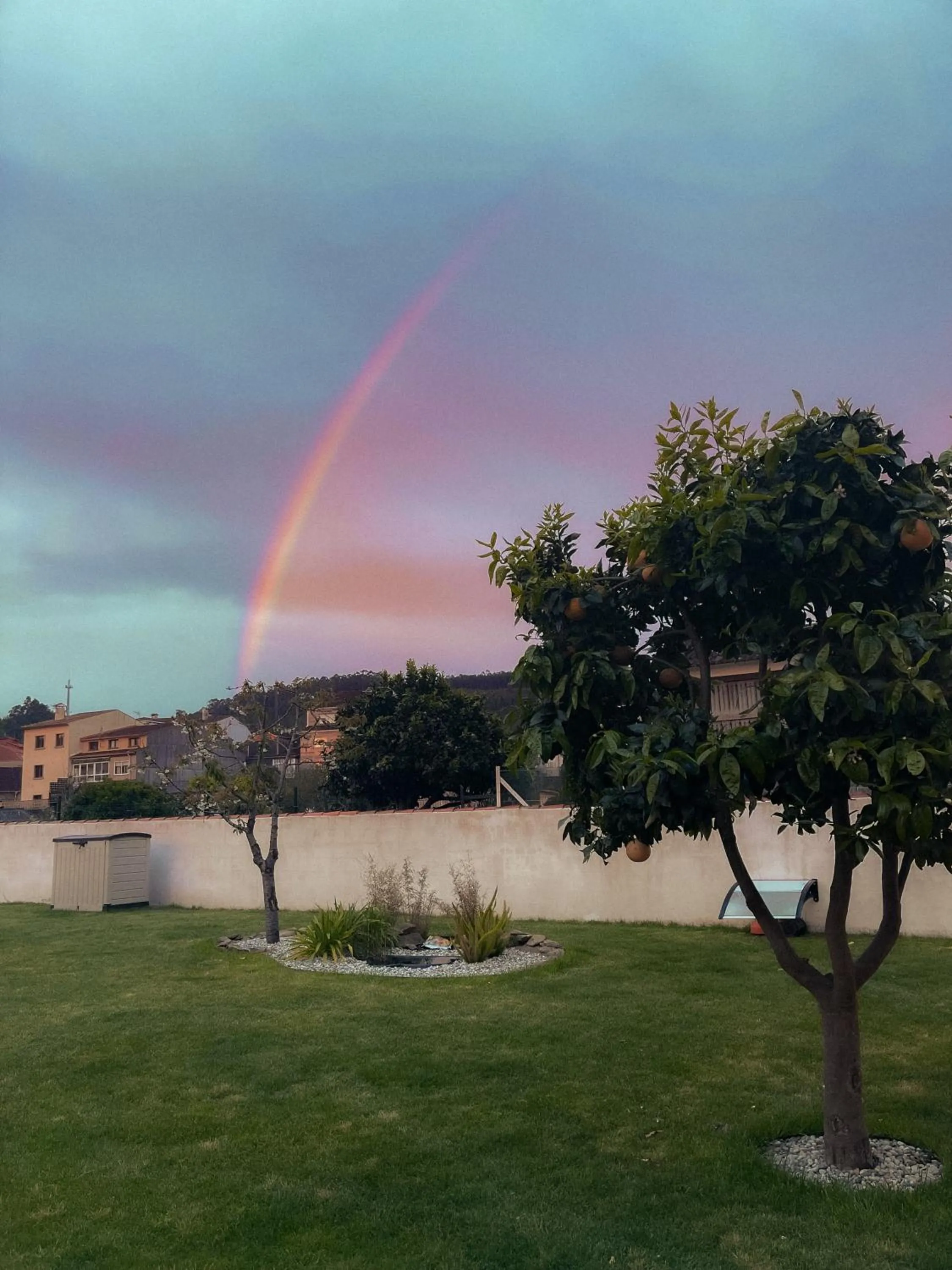Garden in Villa Galicia