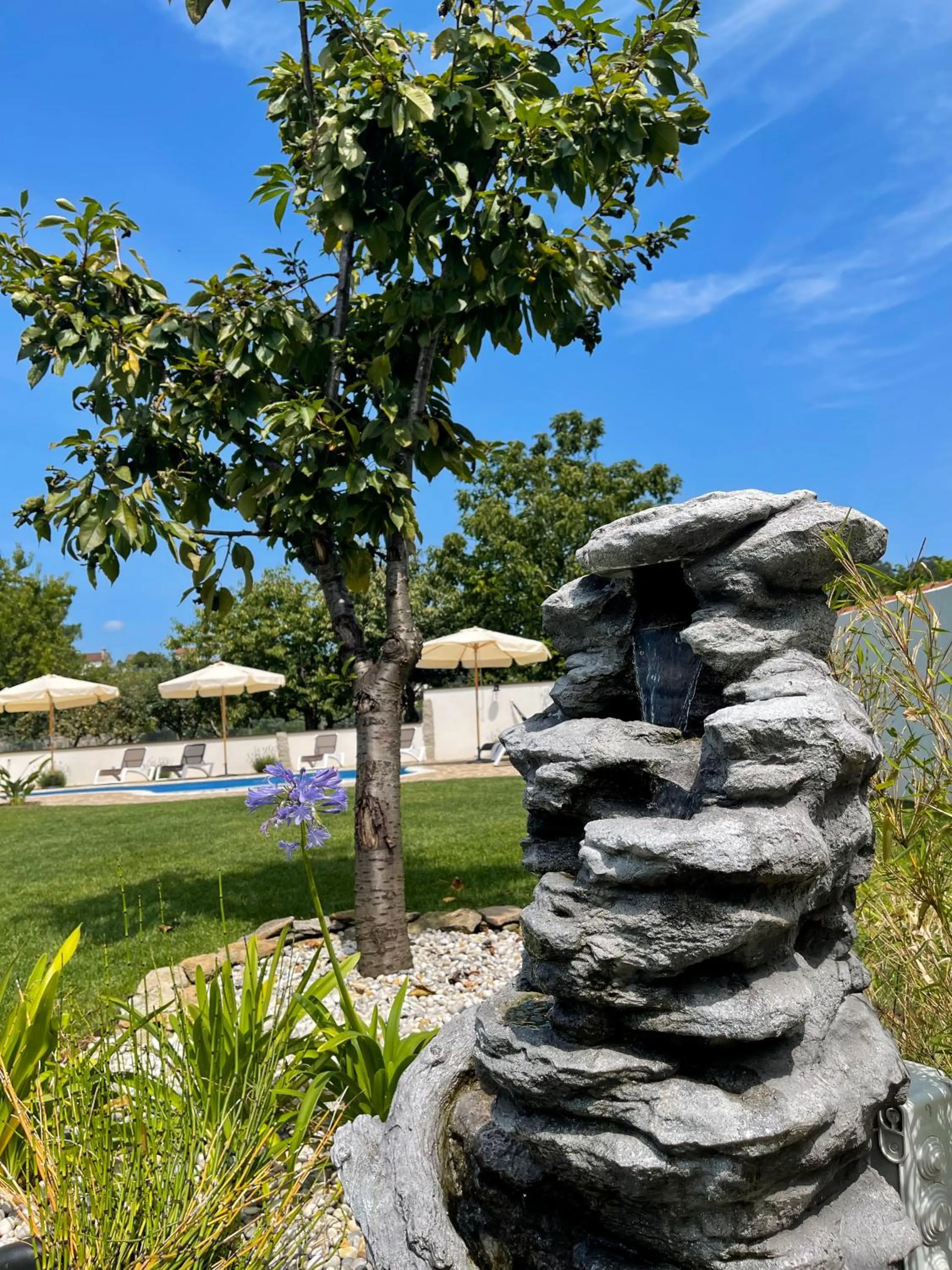 Garden in Villa Galicia