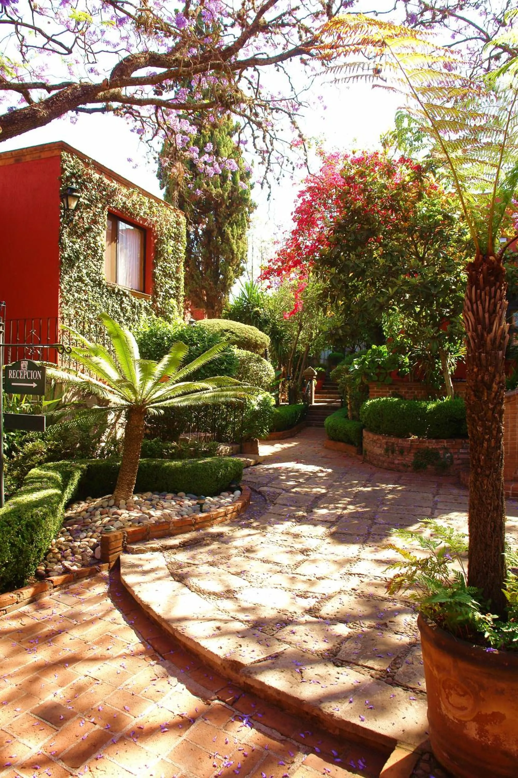 Garden in Villa Montaña Hotel & Spa