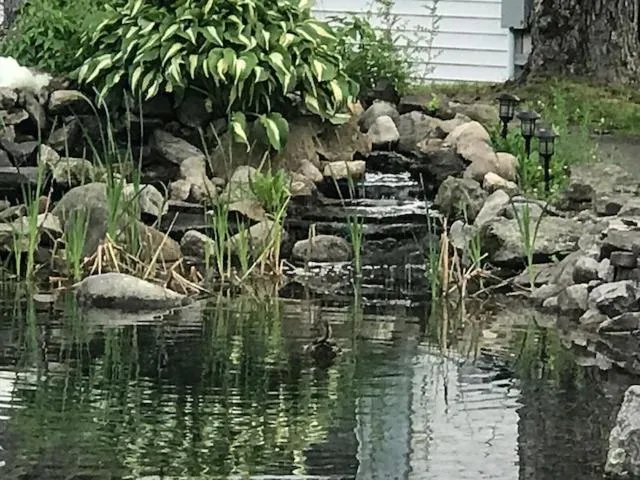Exit 5 Resort & Condominium