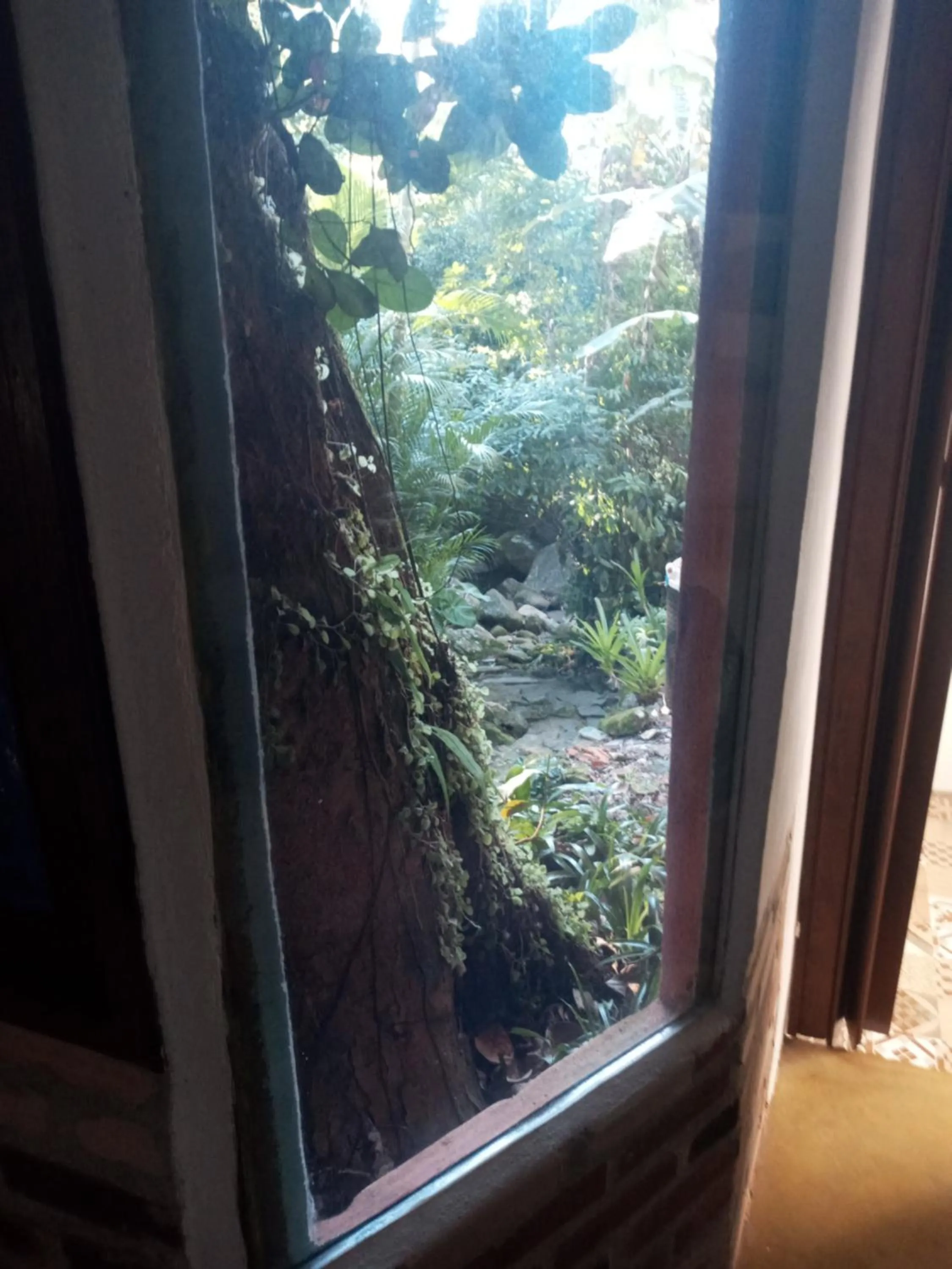 View (from property/room) in Pousada Cachoeira