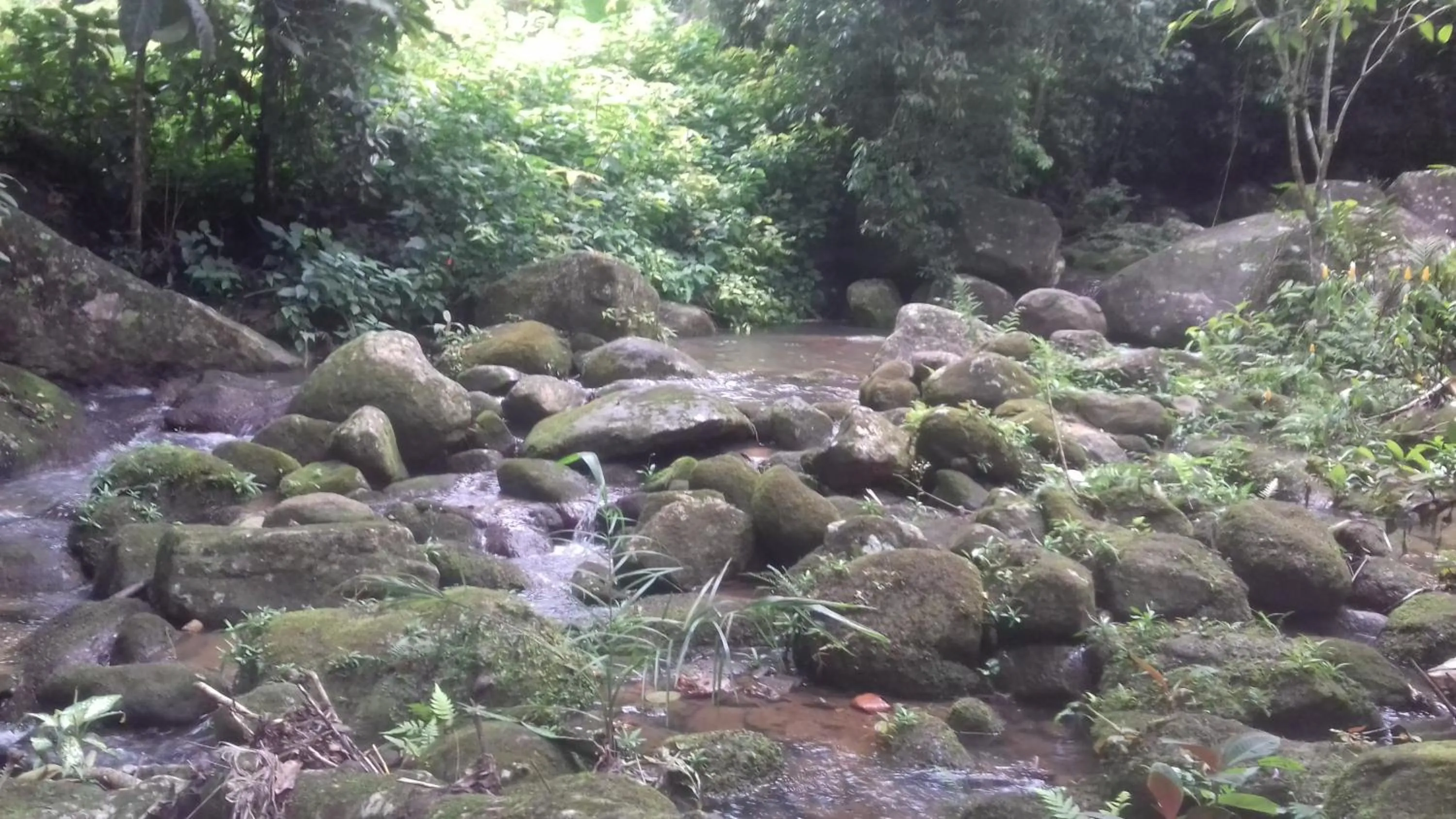 Hiking in Pousada Cachoeira