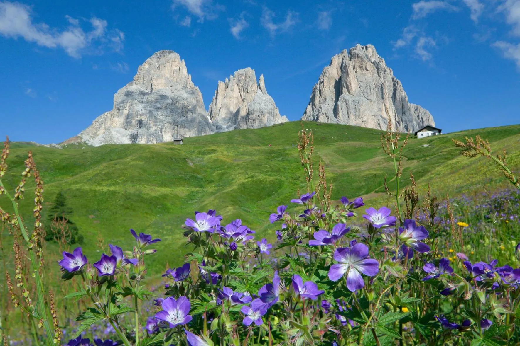 Natural landscape in Chalet Aster