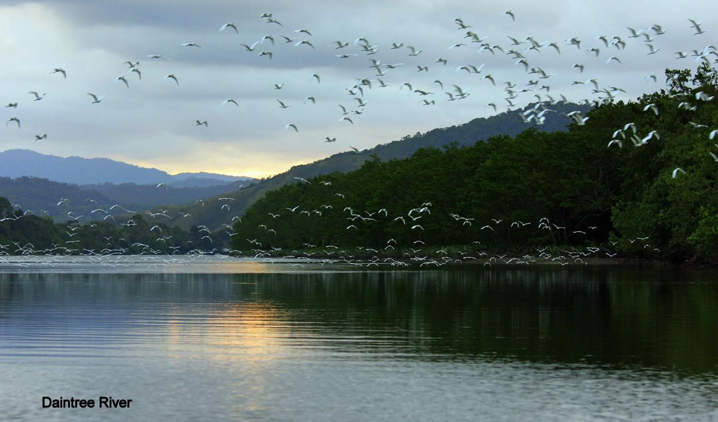 Natural landscape in Daintree Riverview Lodges