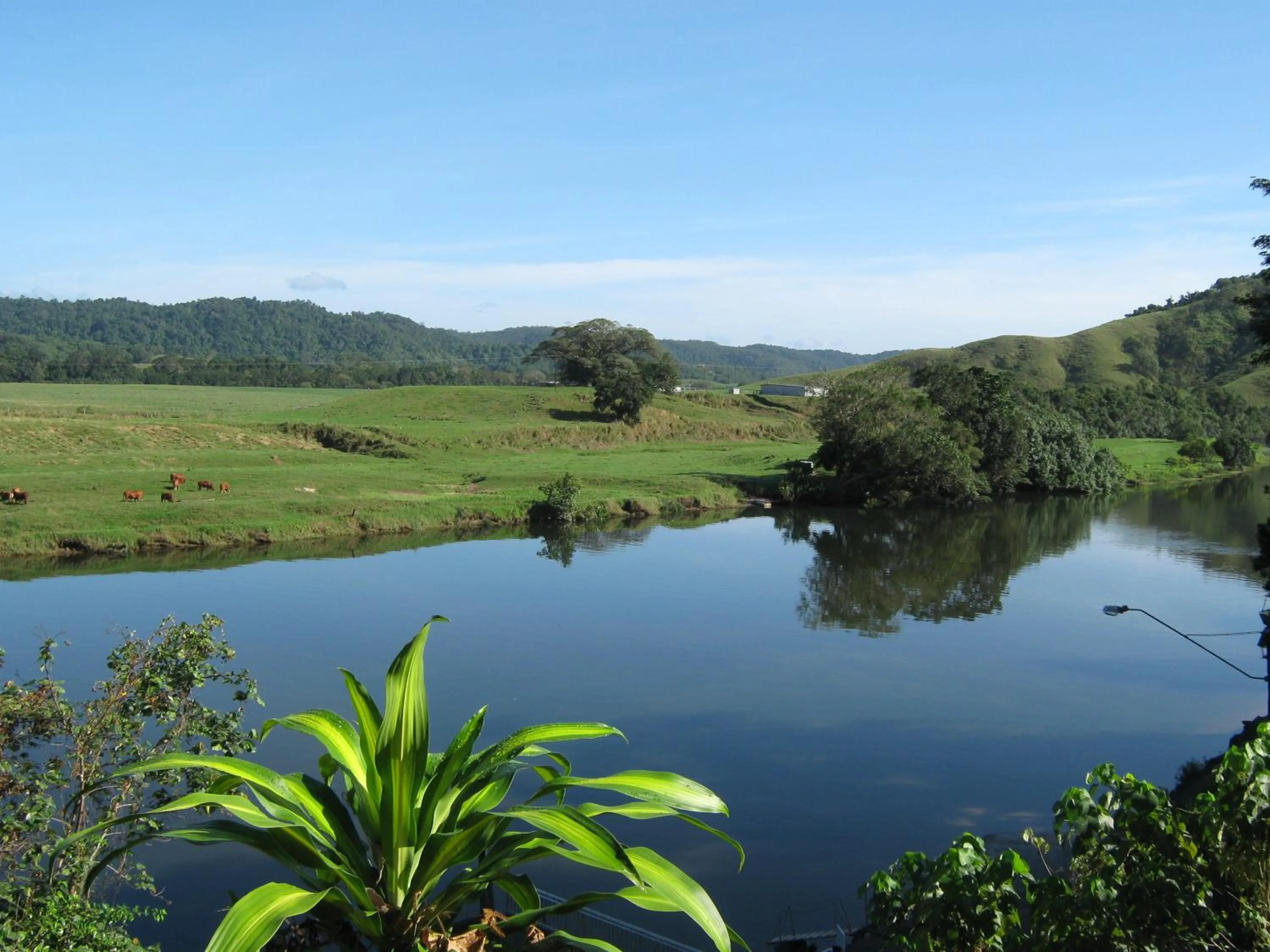 River view in Daintree Riverview Lodges