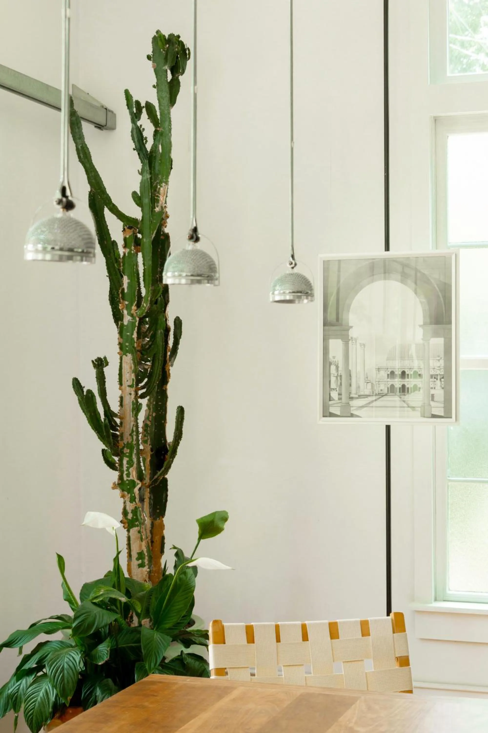 Business facilities in THE STORE