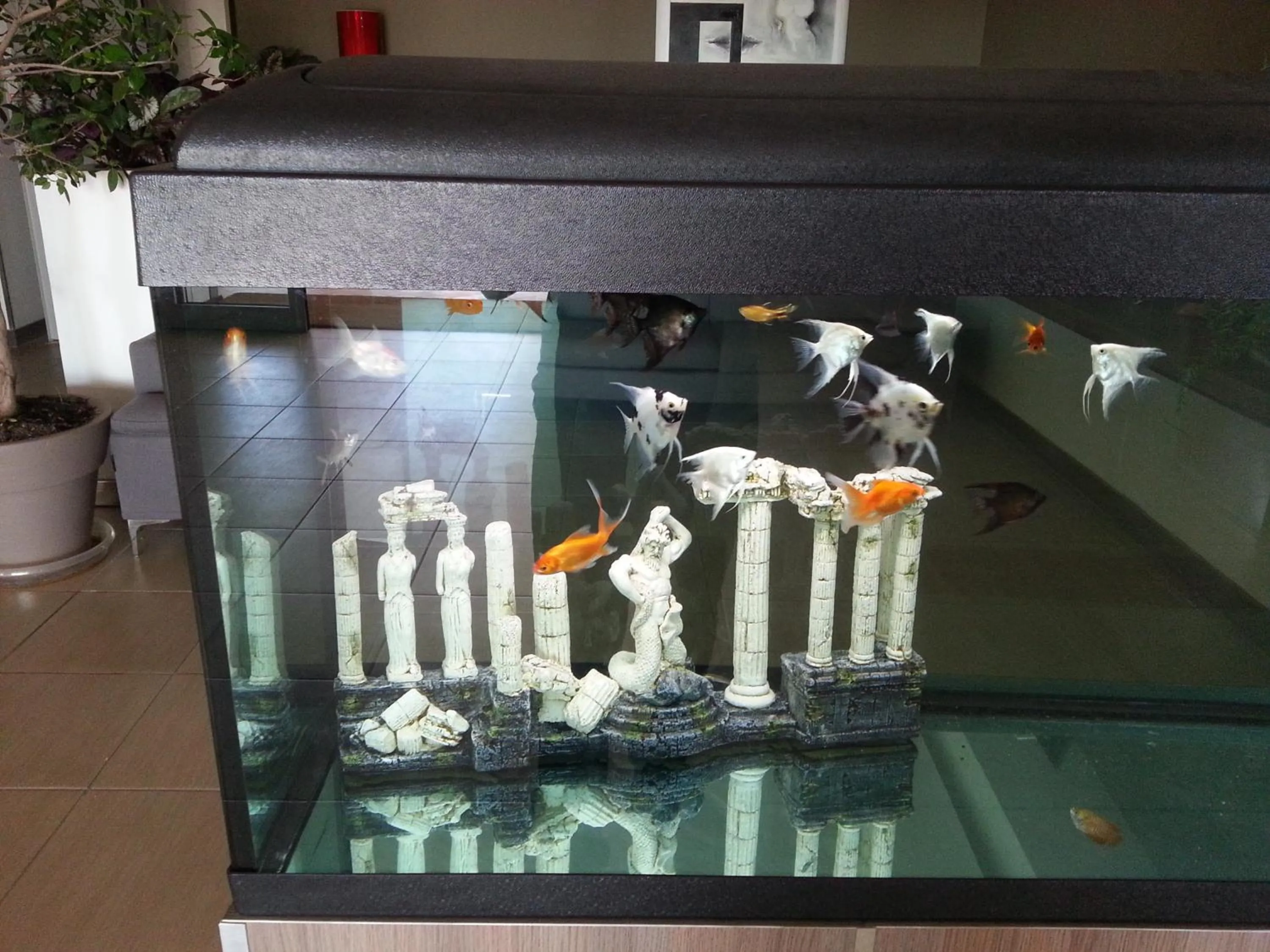 Staff in Hotel Poseidon