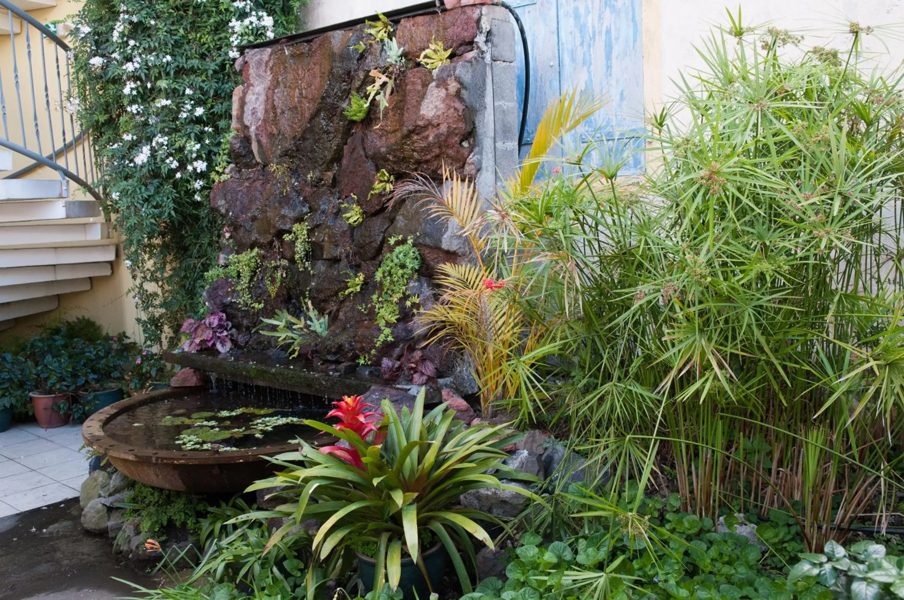 Garden in Tsilaosa Hôtel