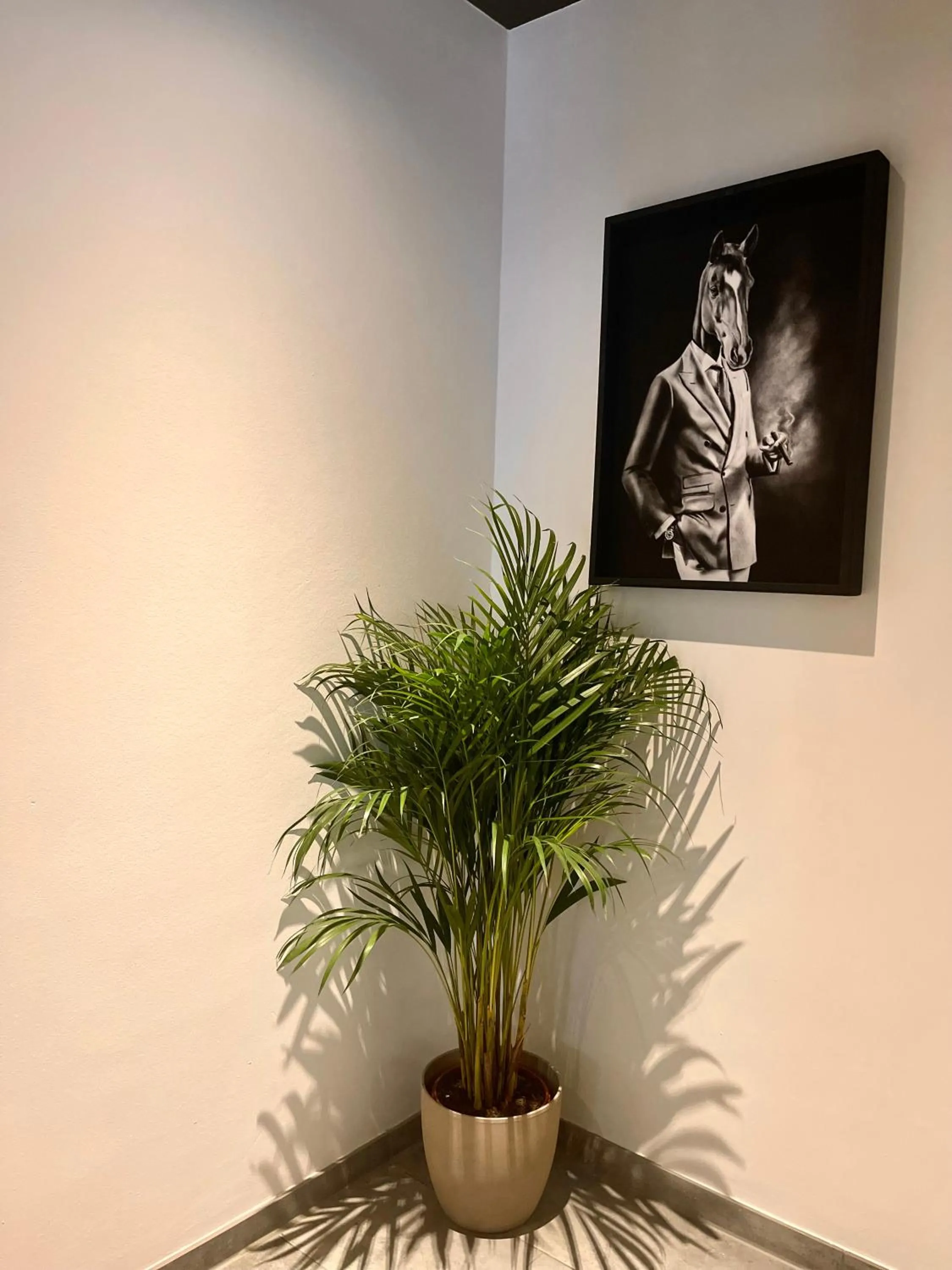 Lobby or reception in Bayer's City Hotel