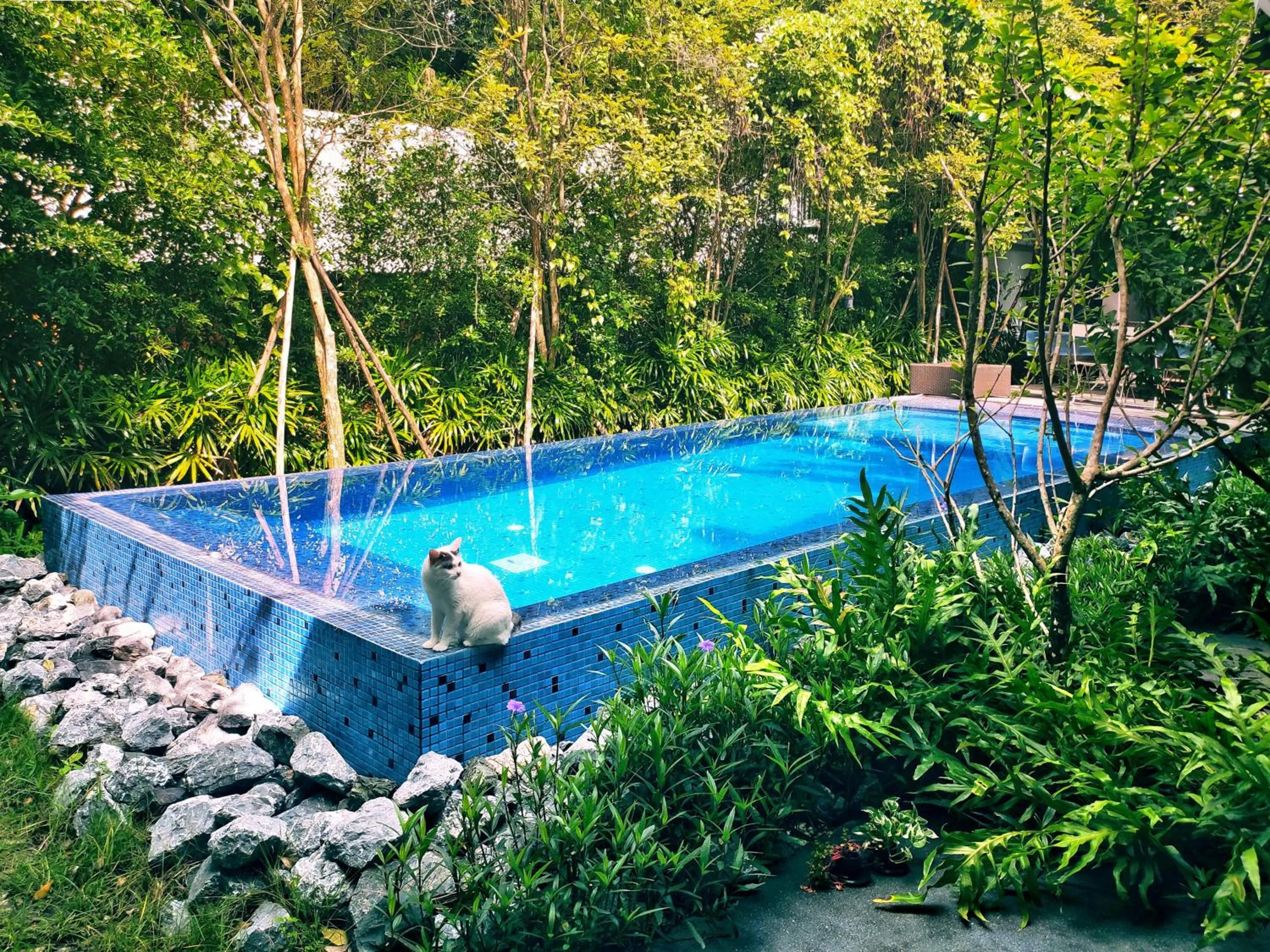 Swimming pool in Yellow Pillow village