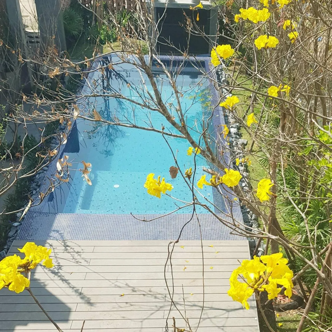 Natural landscape in Yellow Pillow village