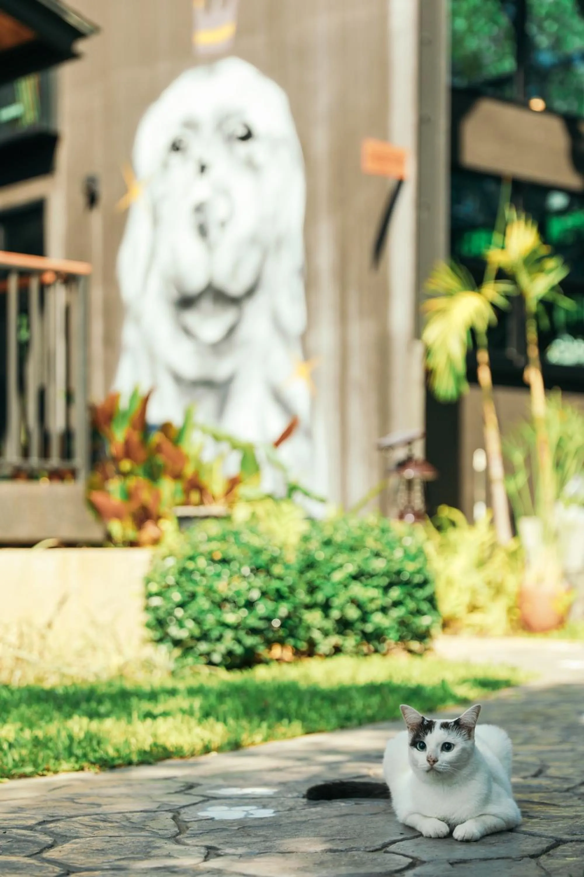 Pets in Yellow Pillow village