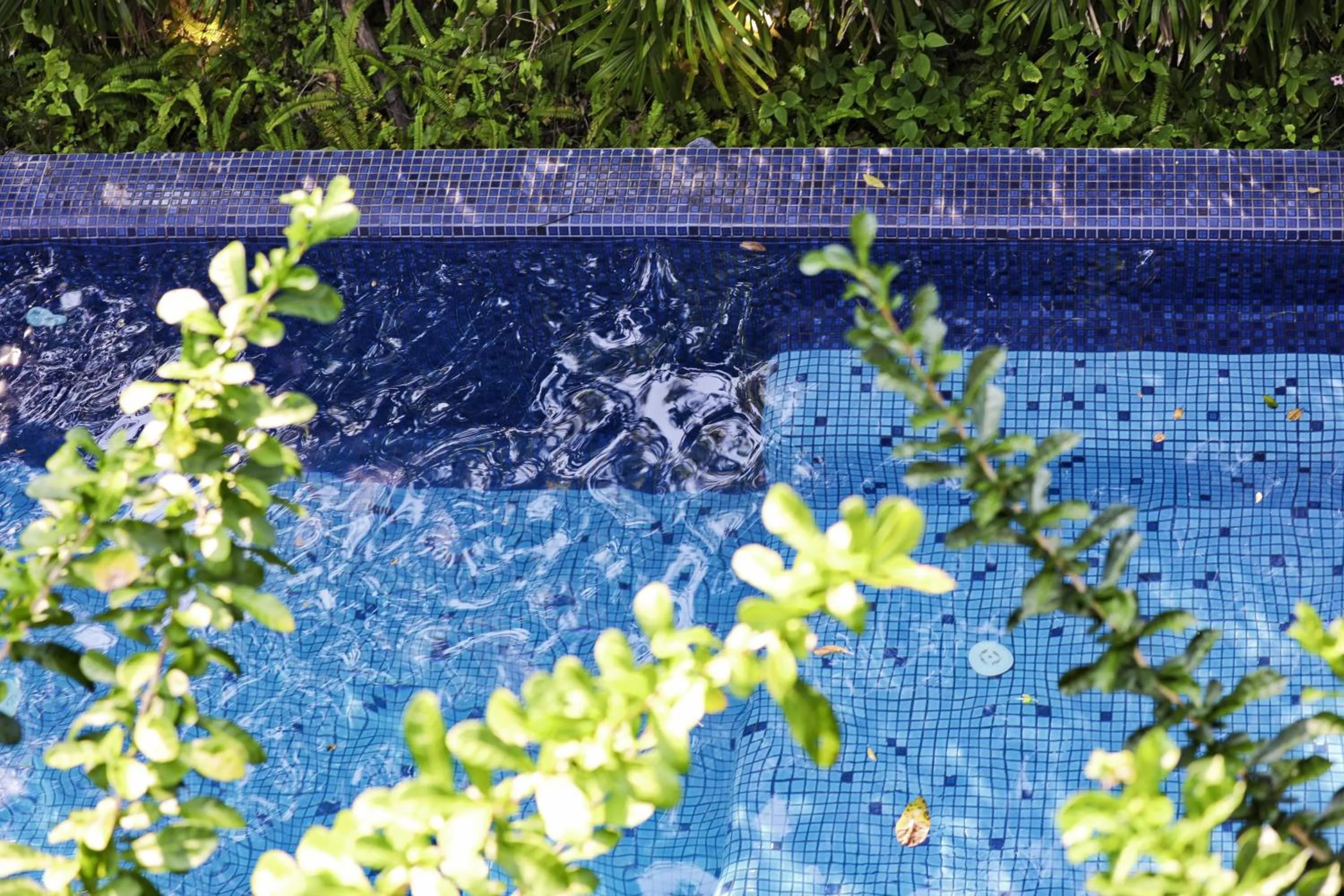 Swimming pool in Yellow Pillow village