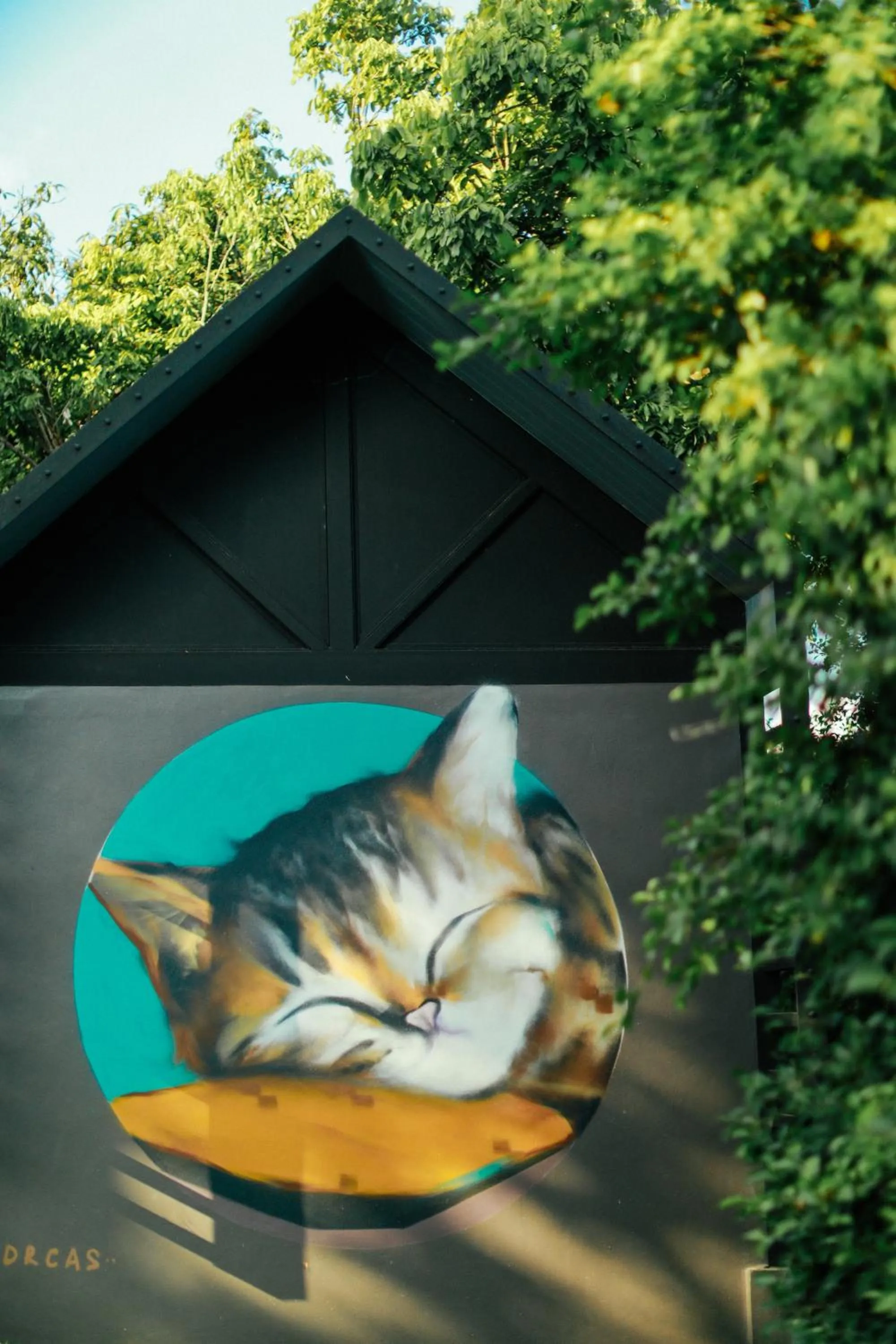 Garden in Yellow Pillow village