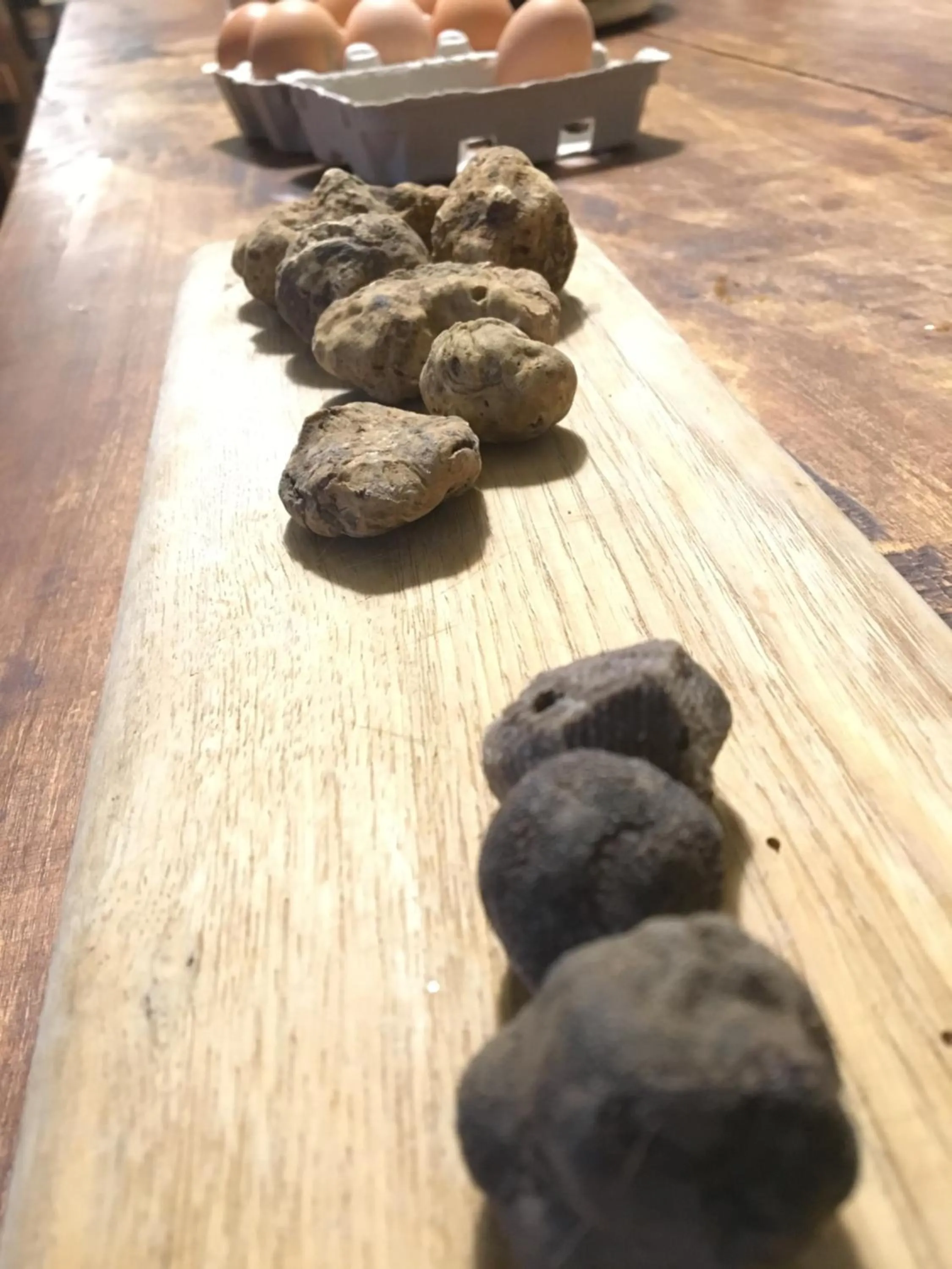 Dinner in Tenuta San Rocco