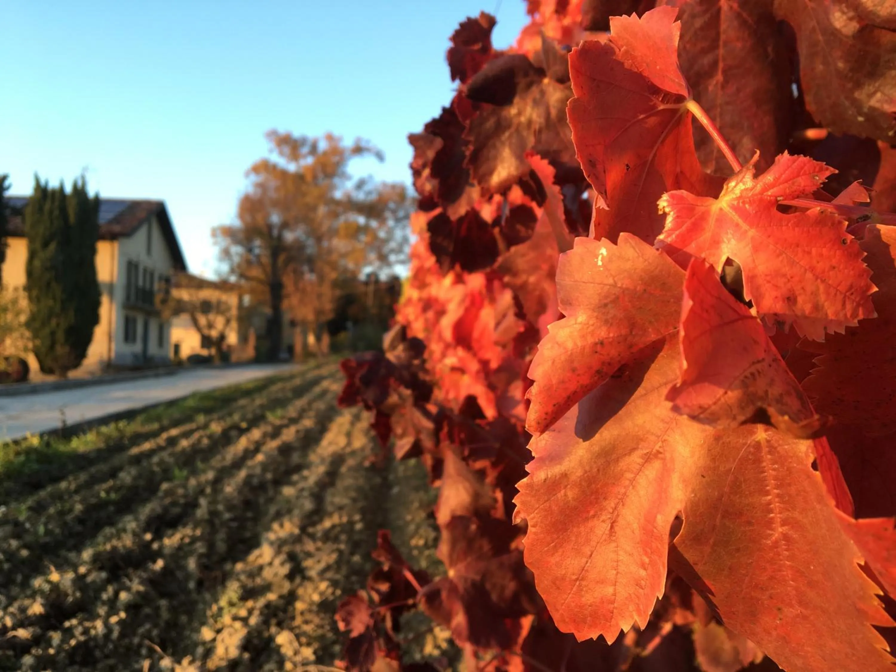 Facade/entrance in Tenuta San Rocco