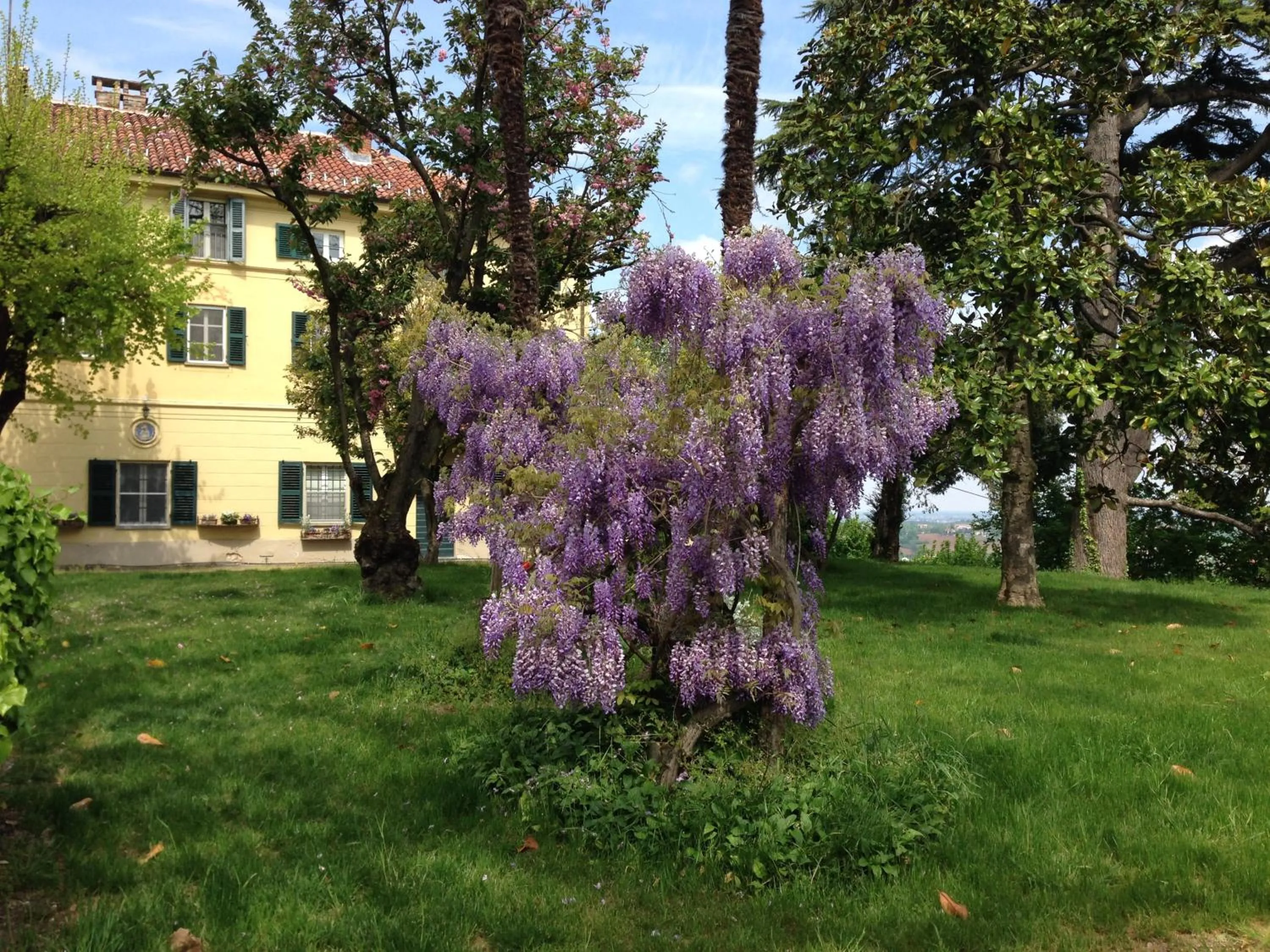 Garden view in Tenuta San Rocco
