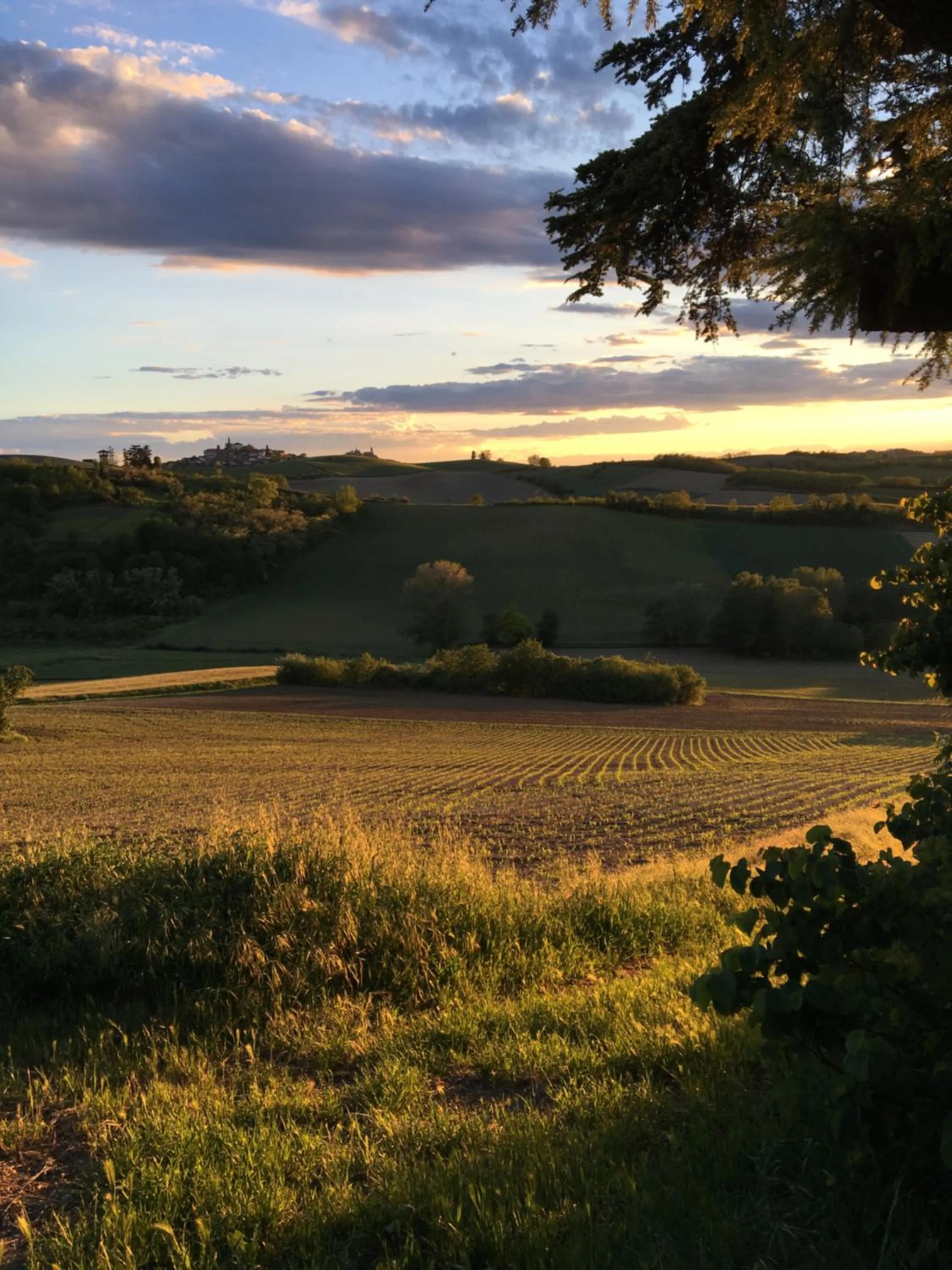 Garden in Tenuta San Rocco