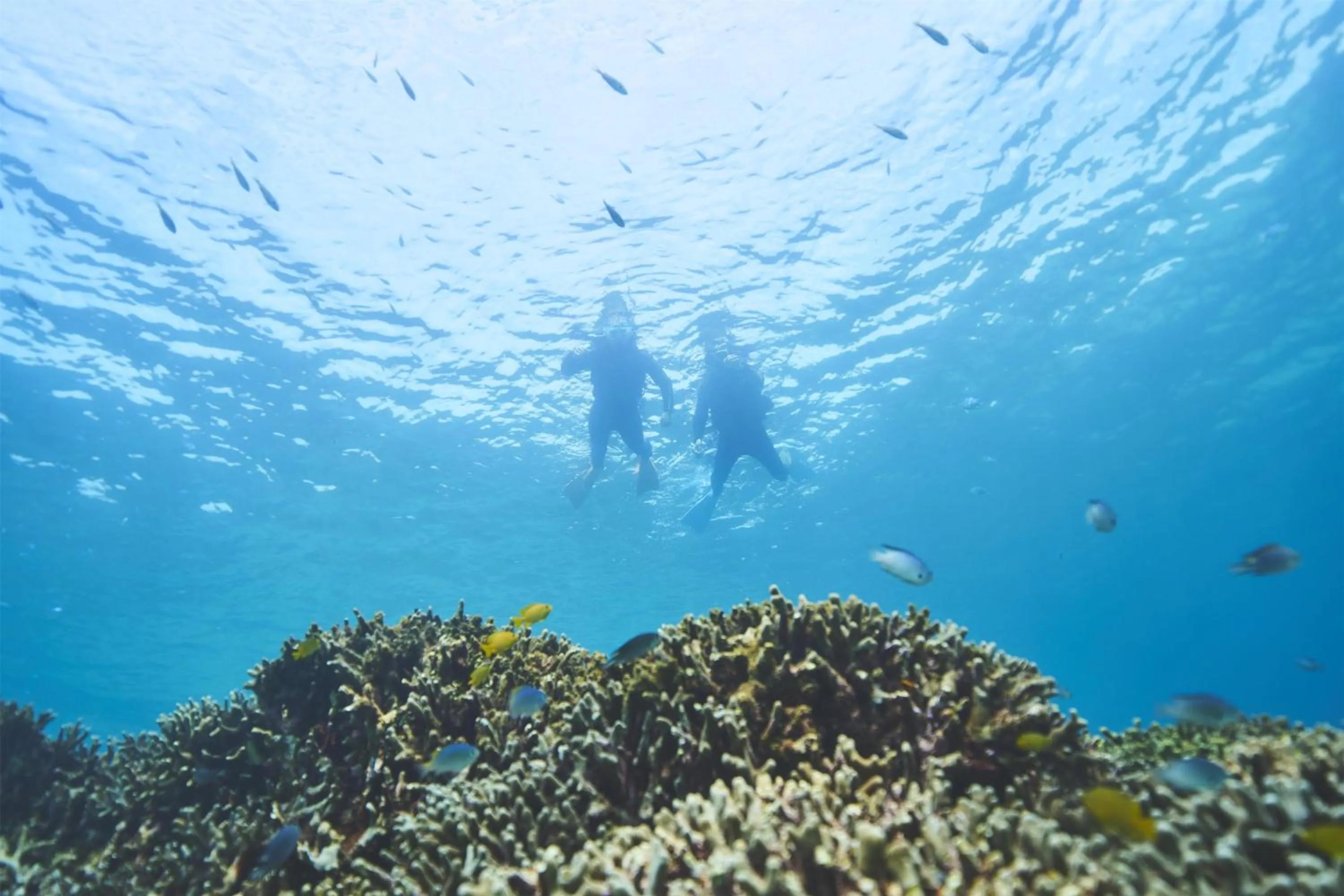 Activities in Hyatt Regency Seragaki Island Okinawa