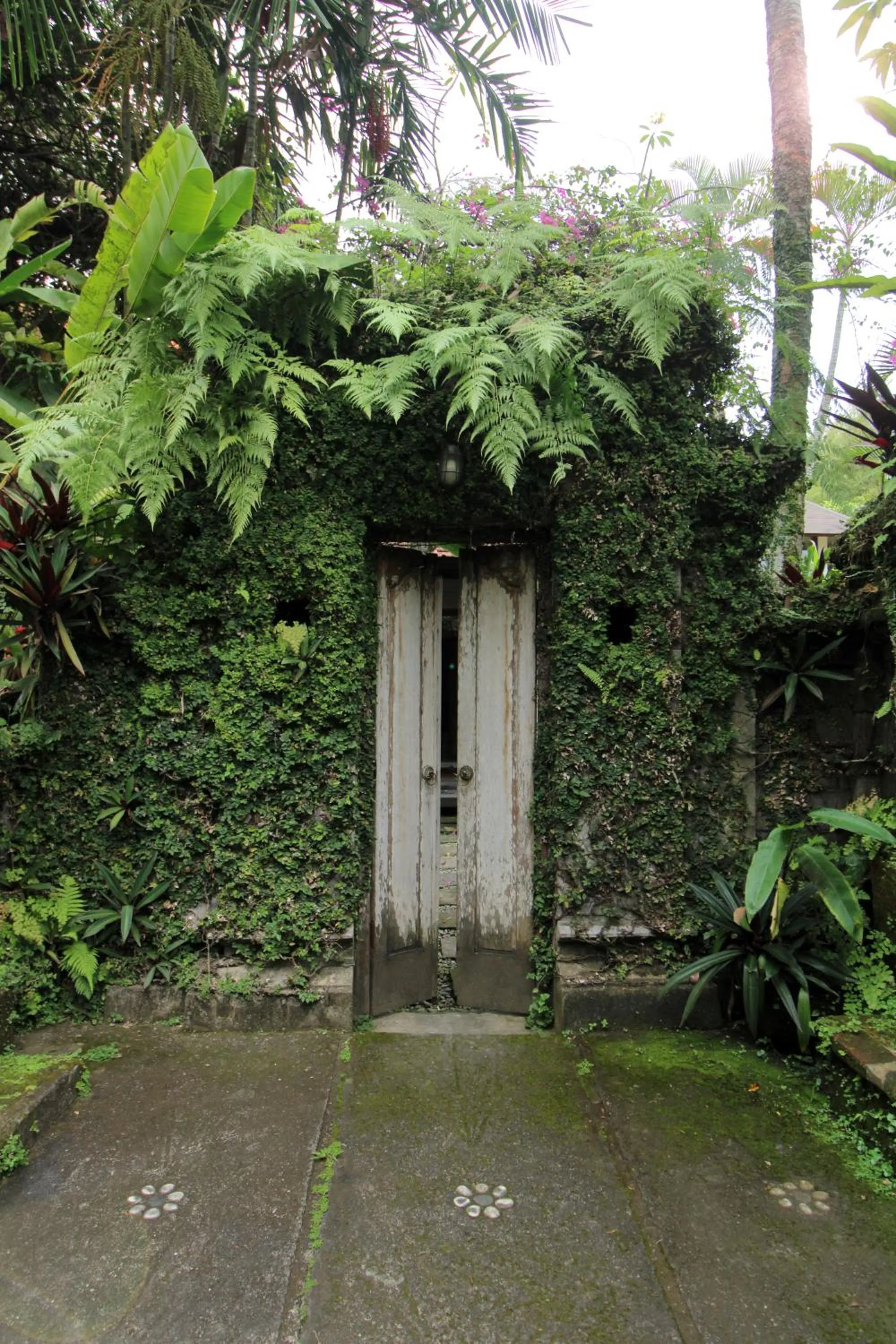 Tegal Sari Accommodation Ubud