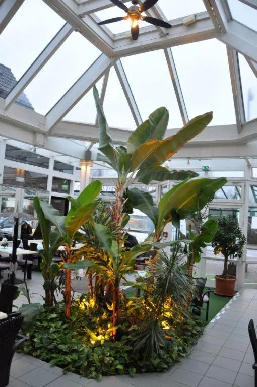 Facade/entrance in Hotel-Café Kampe