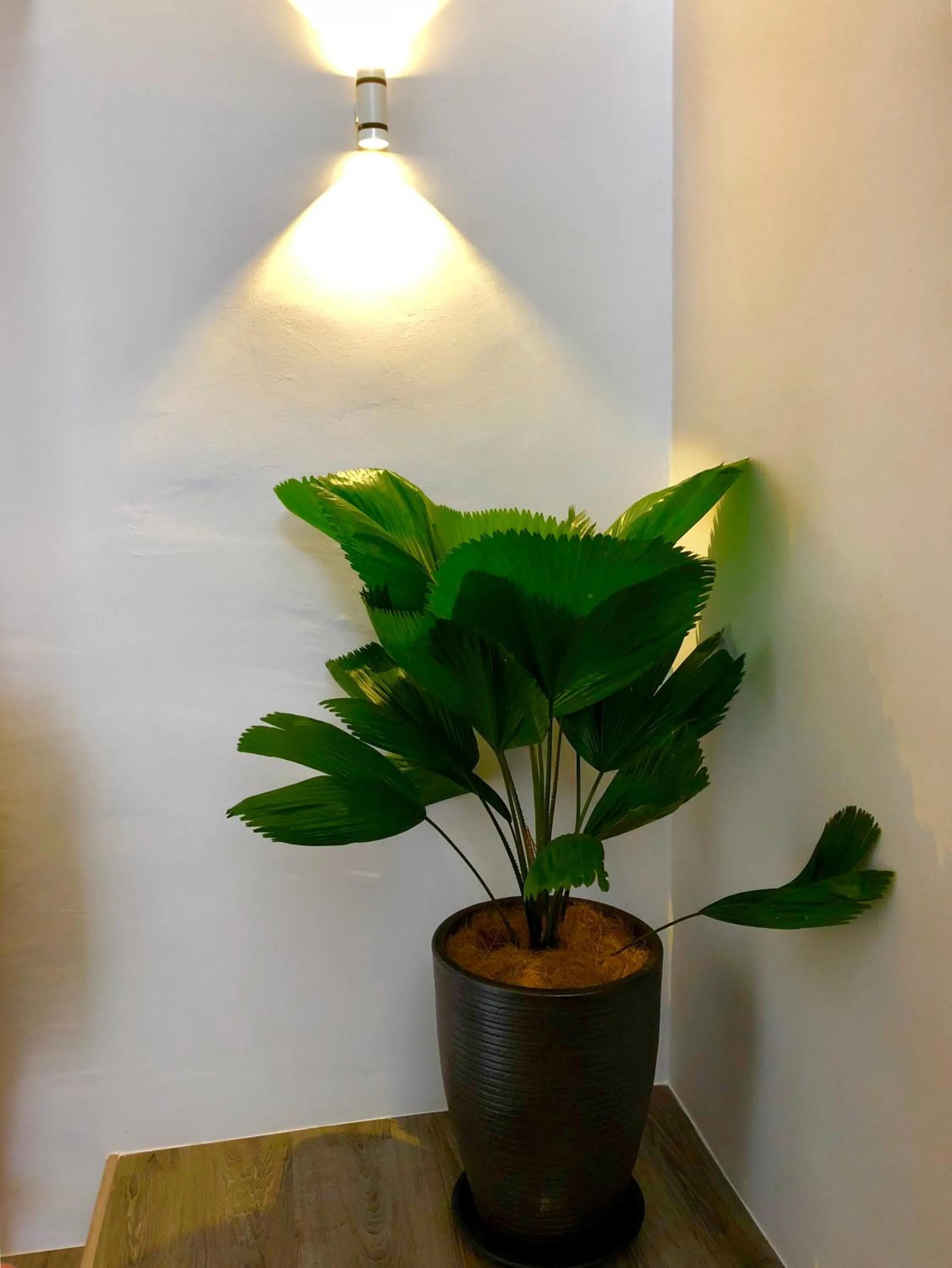 Minimalist Duplex @ Petaling Jaya & Sunway