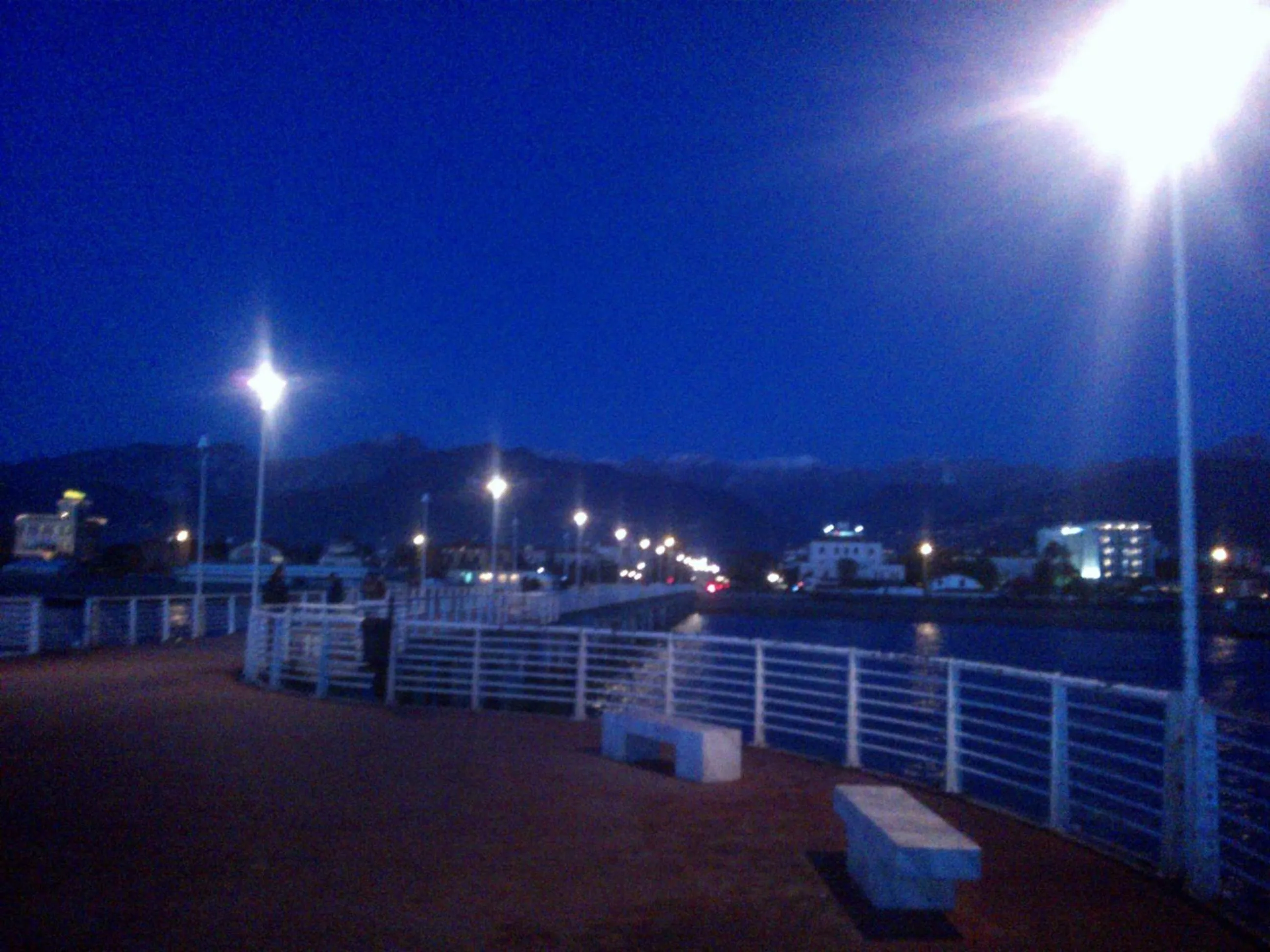 Patio in Hotel Daisy