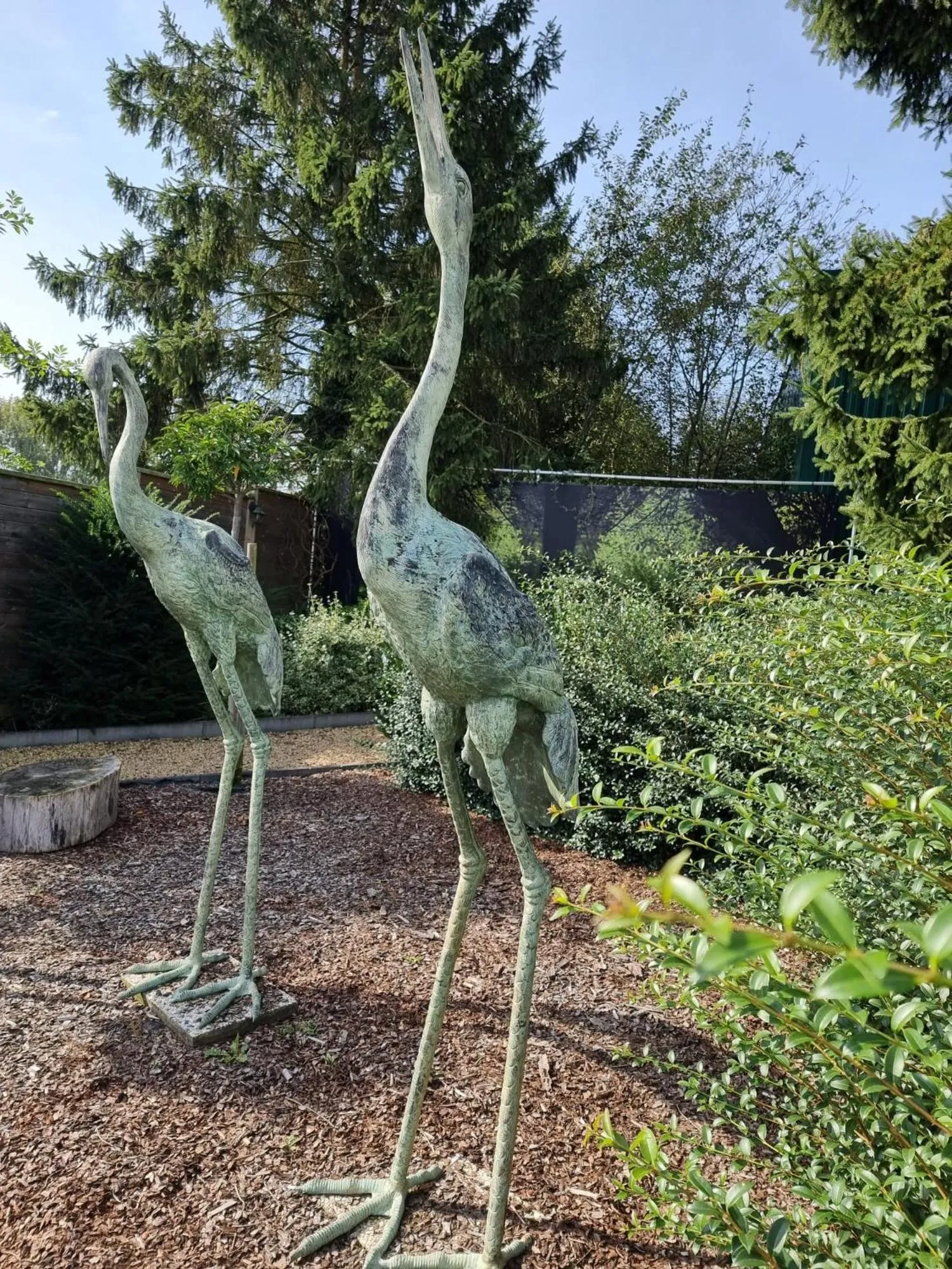 Garden in Hotel Monte Cristo