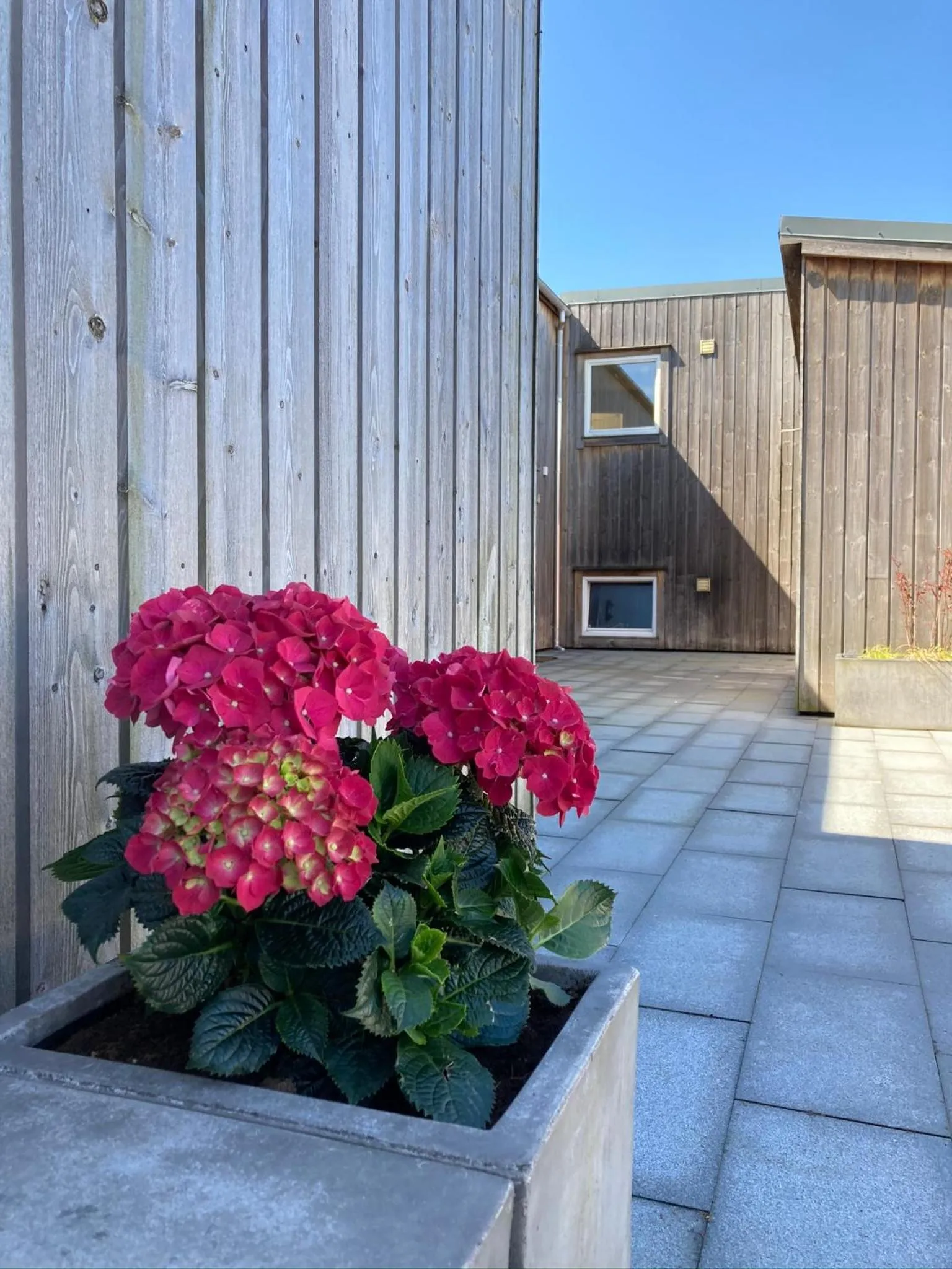 Parken Terrasse Apartment Hotel