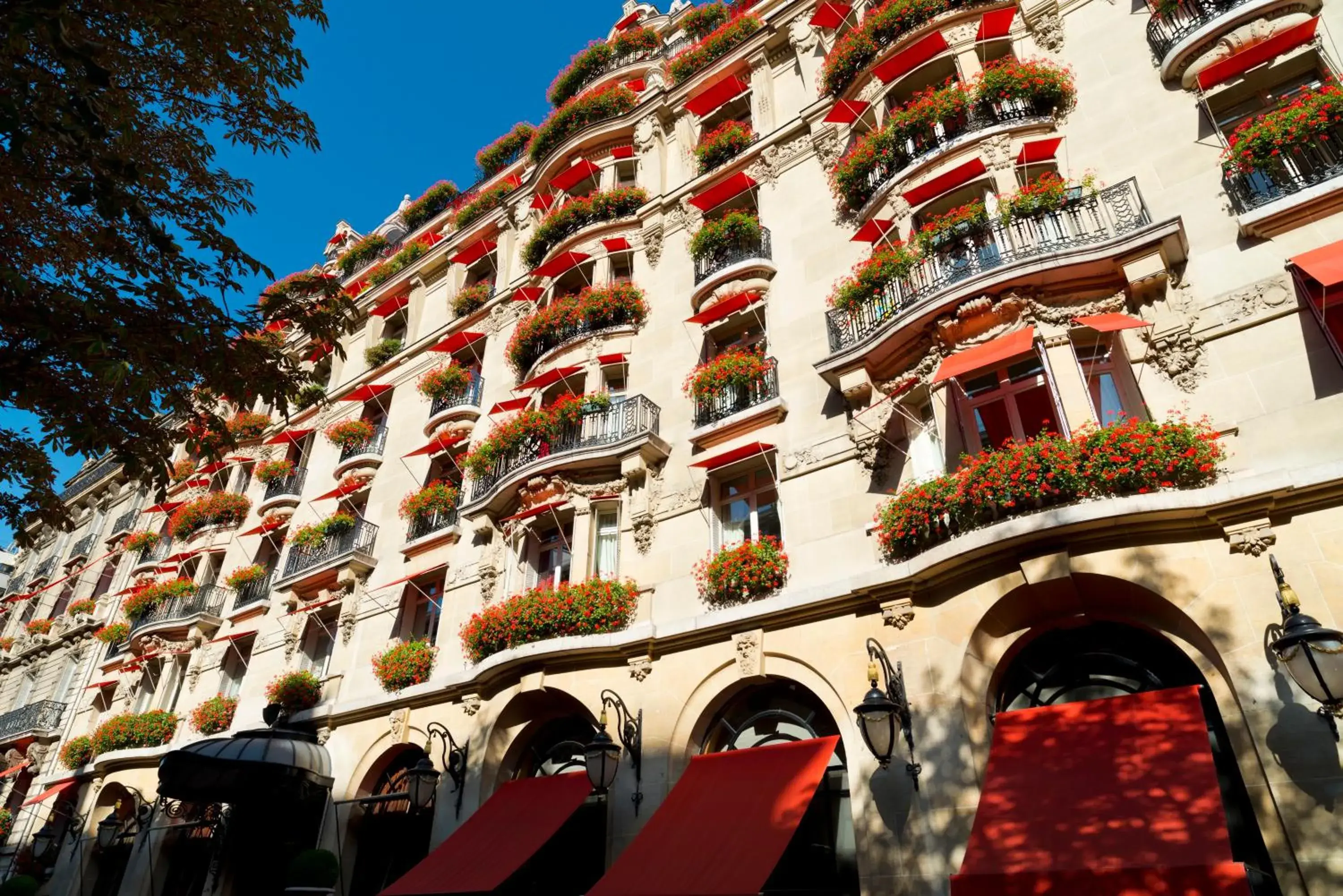 Large Single Room - single occupancy in Hotel Plaza Athenee - Dorchester Collection Large Single Room - single occupancy in Hotel Plaza Athenee - Dorchester Collection