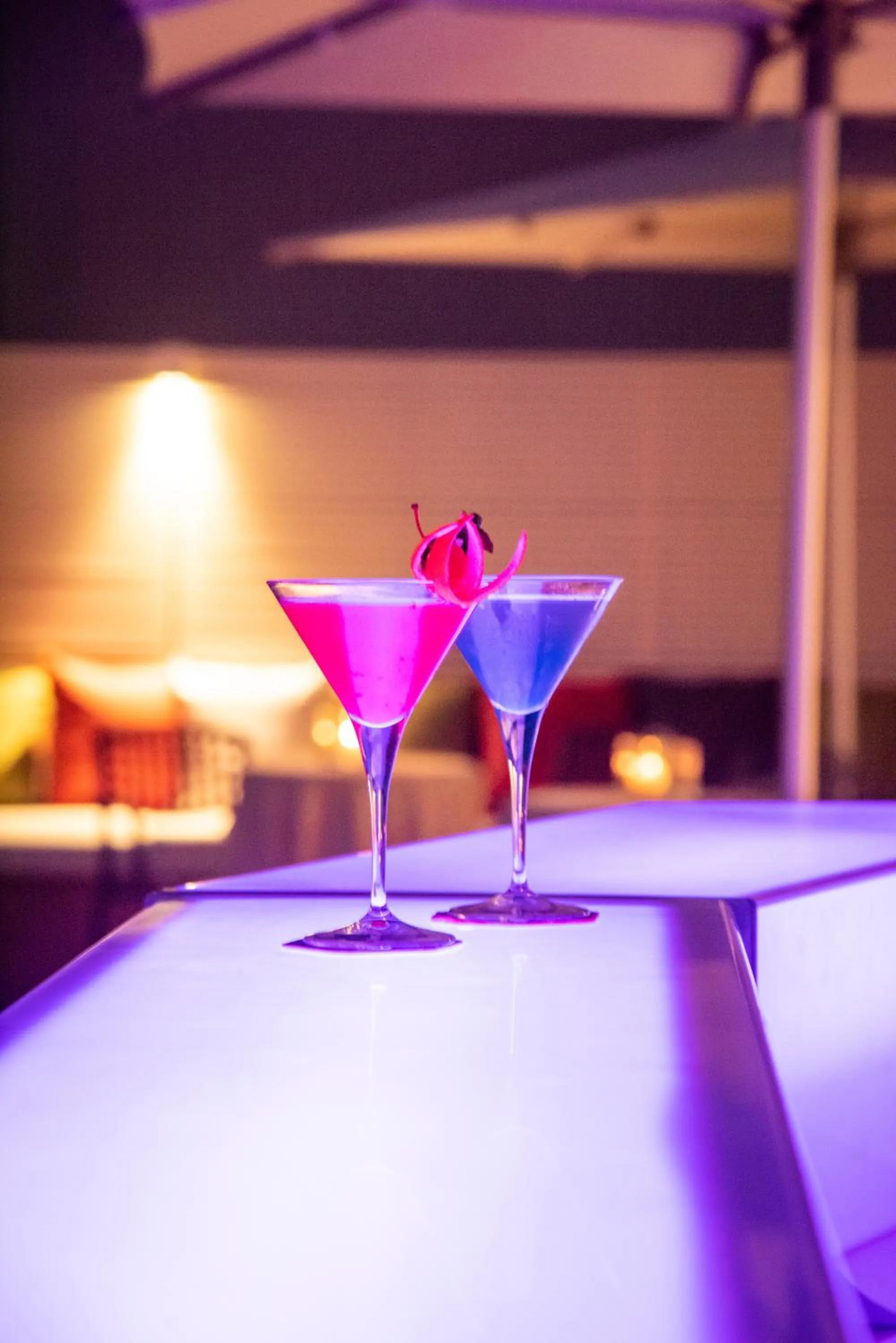 Evening entertainment in Hotel Michelangelo