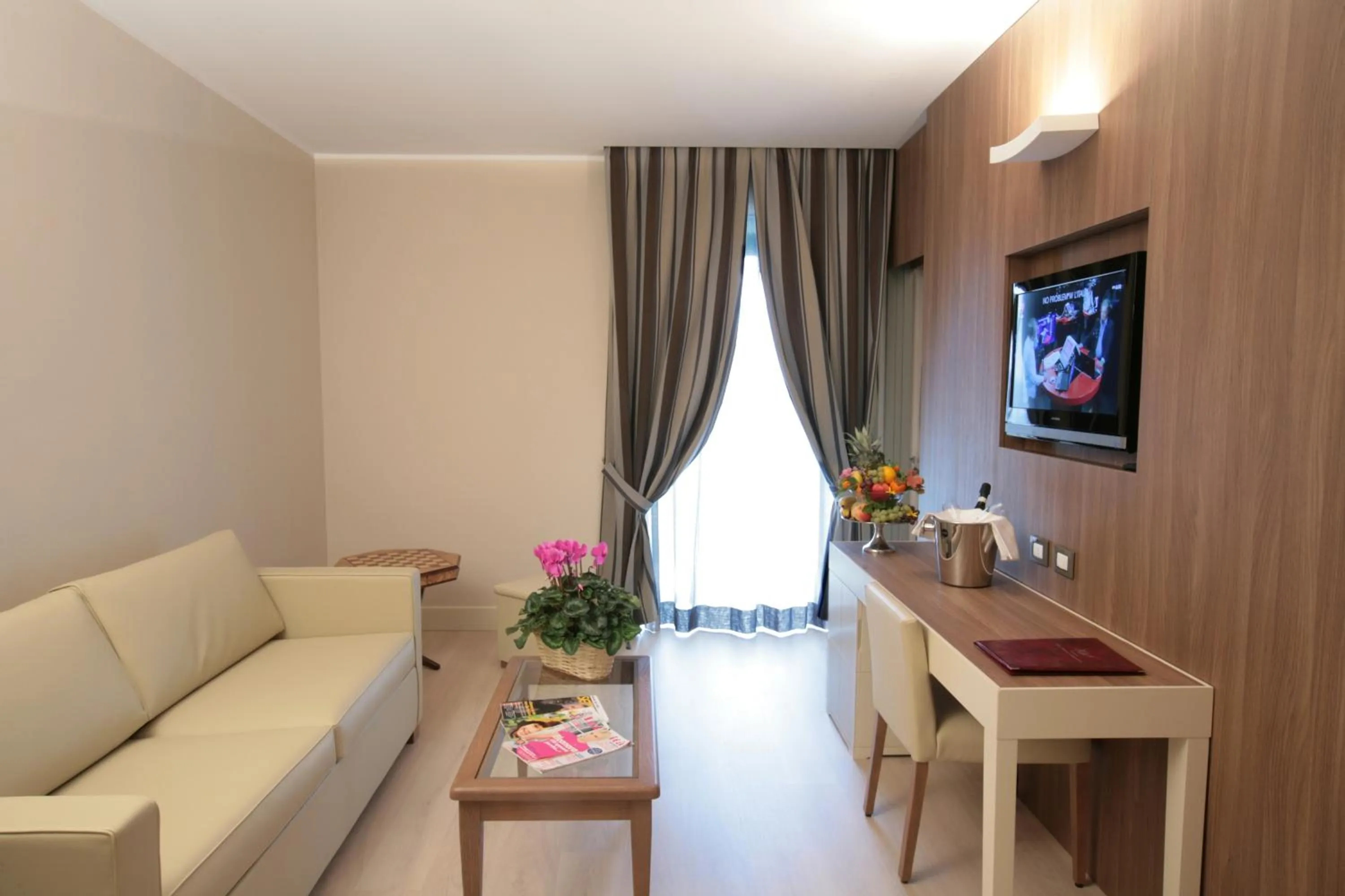 TV and multimedia in Hotel Mirasole International