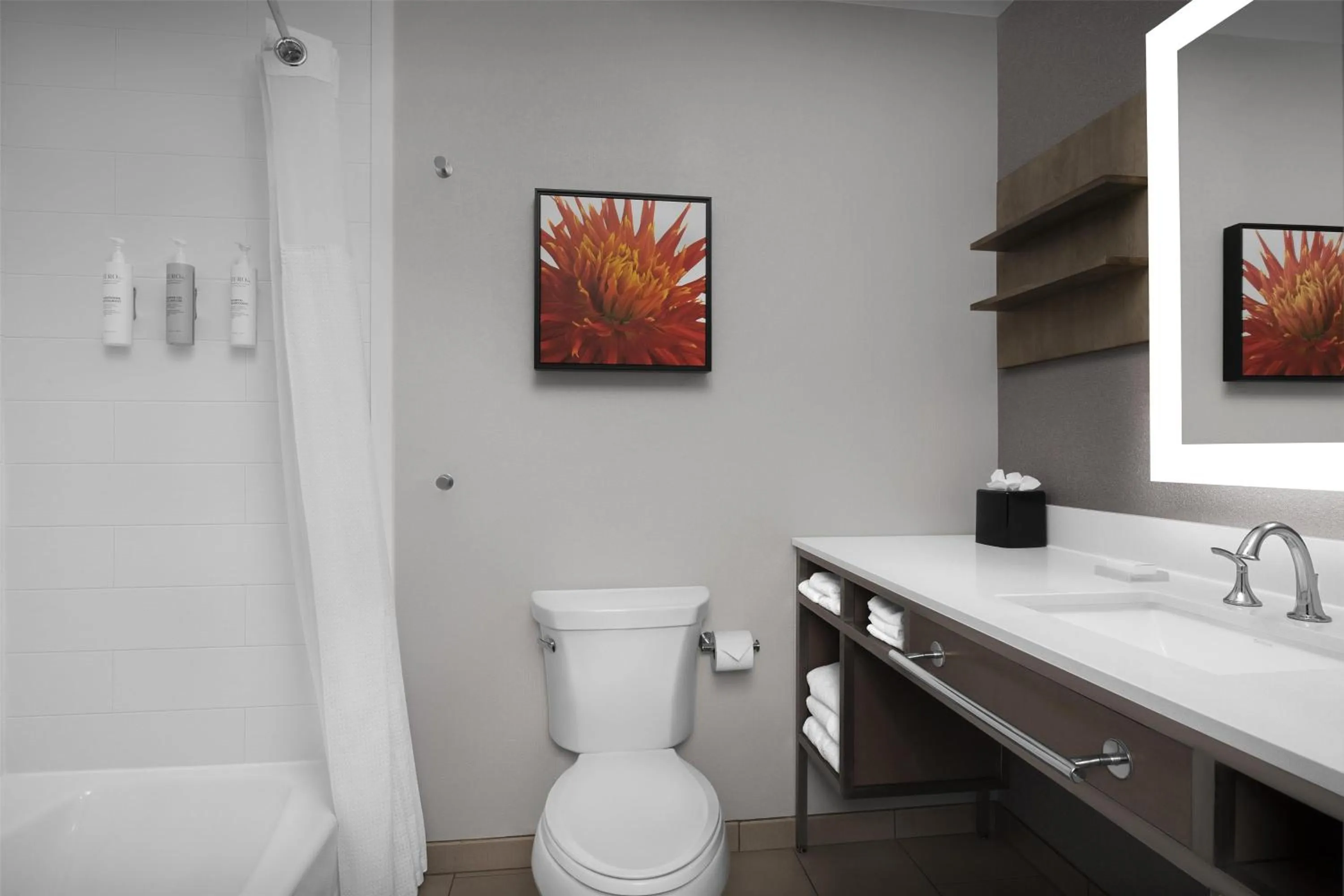 Bathroom in Hilton Garden Inn Charlotte Waverly