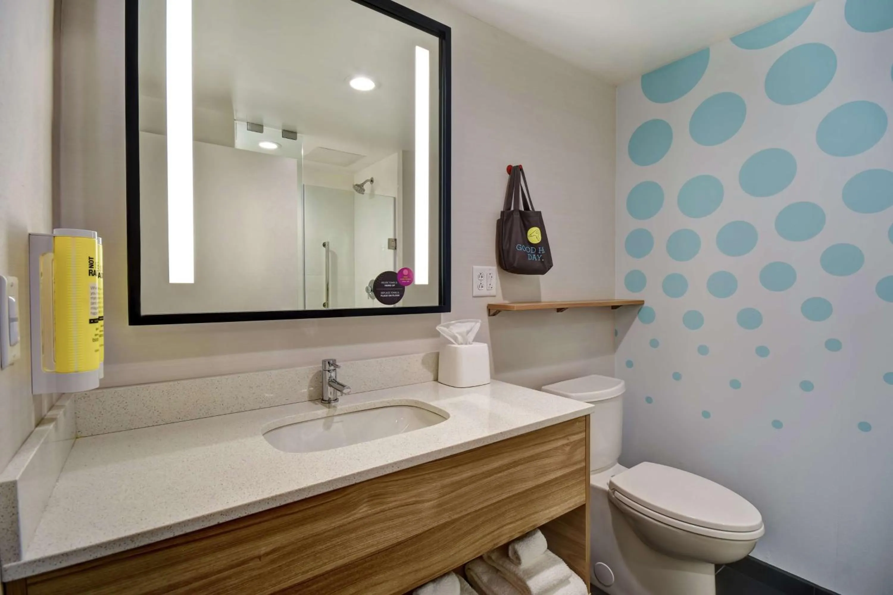 Bathroom in Tru By Hilton Syracuse-Camillus