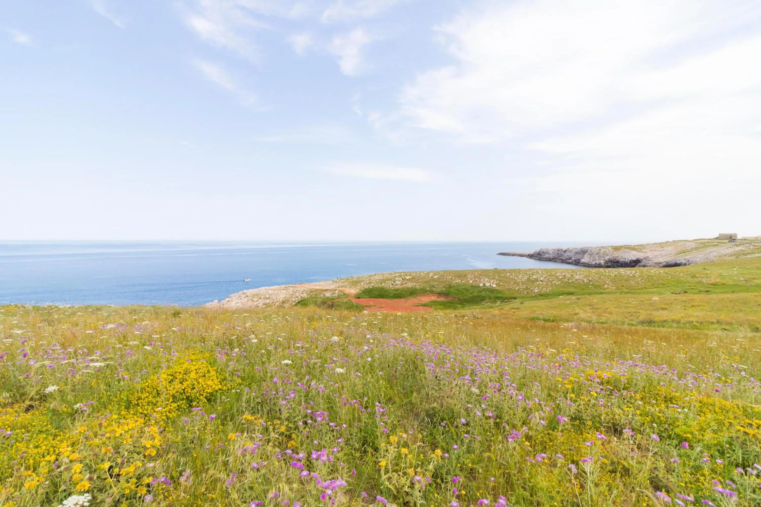 Property building in Casa vacanze Frida in Salento