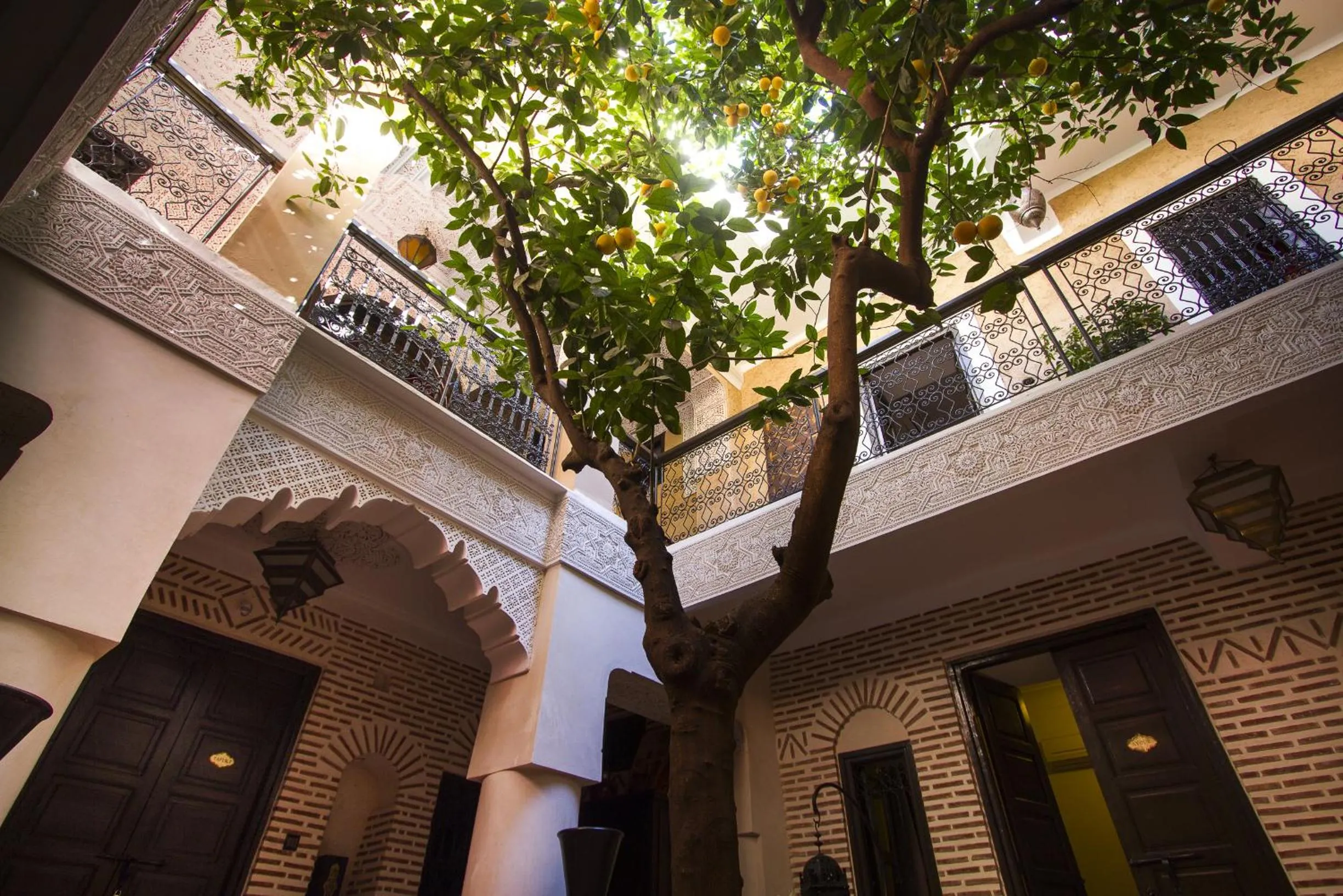 Garden in Riad Maud