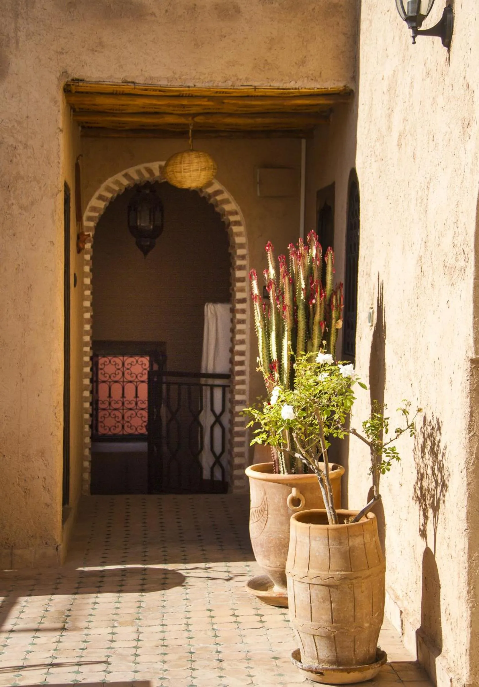 Garden in Riad Maud