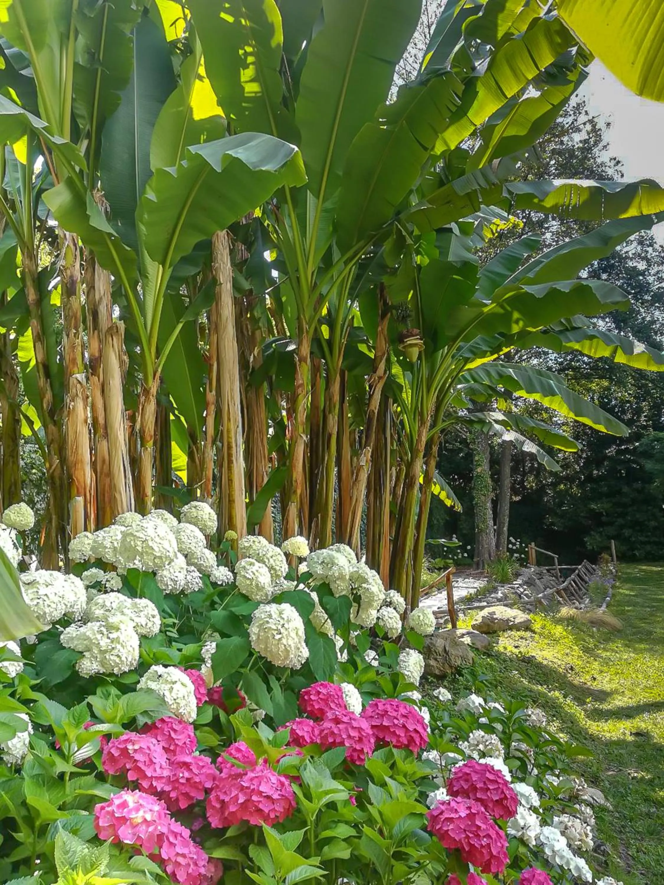 Garden in Relais Corte Rodeschi